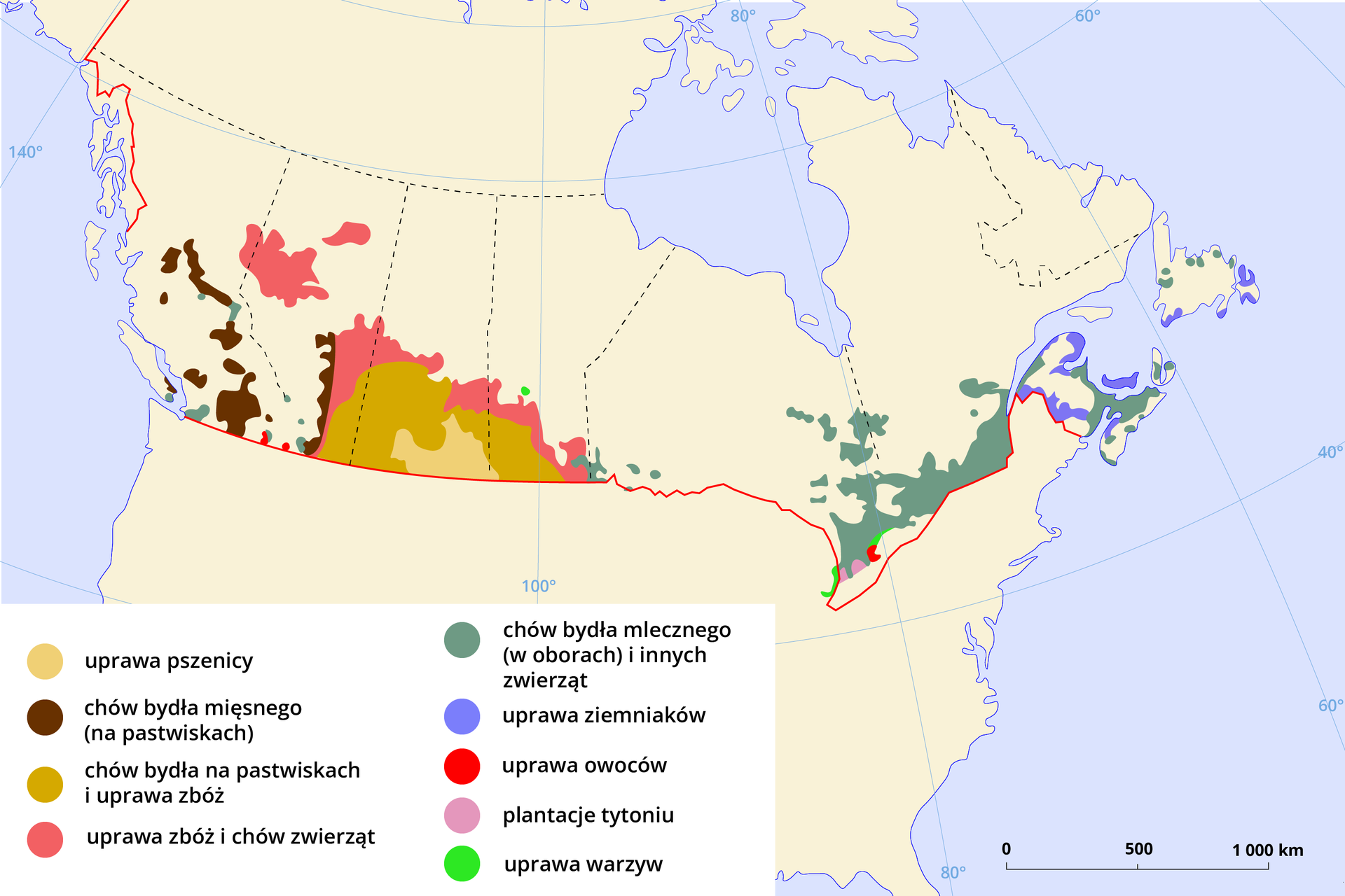 Mapa przedstawiająca rolnictwo w Kanadzie. W prawym dolnym rogu podziałka, na której jeden odcinek to pięćset kilometrów. Rolnictwo koncentruje się niemal wyłącznie w południowej części kraju, najczęściej w rejonie granicy z USA. Na większości obszaru Kanady brak upraw i hodowli. W lewym dolnym rogu legenda z opisami kolorów użytych do oznaczenia poszczególnych typów rolnictwa na danych obszarach kraju. Kolorem jasnopiaskowym oznaczono uprawę pszenicy; kolorem ciemnopiaskowym chów bydła na pastwiskach i uprawę zbóż; kolorem brązowym chów bydła mięsnego na pastwiskach; kolorem jasnoczerwonym uprawę zbóż i chów zwierząt. Wymienione powyżej rodzaje rolnictwa występują na południu i południowym zachodzie kraju. Największą powierzchnię zajmuje chów bydła mięsnego na pastwiskach i uprawa zbóż, pozostałe rodzaje z mniejszym udziałem. Chów bydła mlecznego (w oborach) i innych zwierząt oznaczono kolorem ciemnozielonym (koncentruje się na południowym wschodzie kraju, ma znaczną powierzchnię względem innych rodzajów działalności rolniczej, porównywalną do chowu bydła na południowym zachodzie). Na środkowym wschodzie niebieskim kolorem oznaczono uprawę ziemniaków, koncentrującą się na linii wybrzeża. Uprawa owoców (kolor czerwony), plantacje tytoniu (kolor różowy) i uprawa warzyw (kolor jasnozielony) mają marginalny udział, największy obszar zajmują na południowym wschodzie.