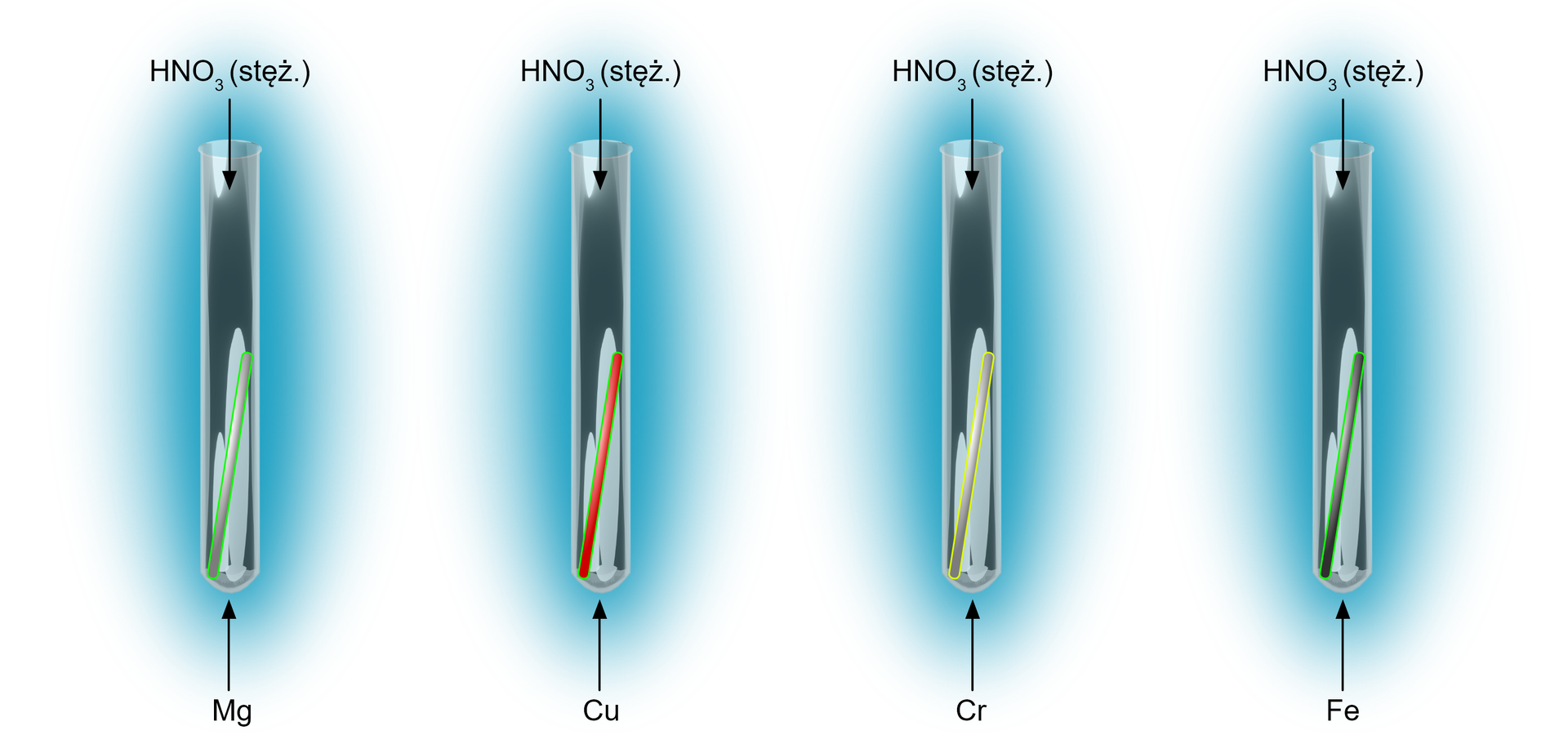 Na ilustracji są cztery probówki. W pierwszej jest magnez, w drugiej miedź, w trzeciej chrom, w czwartej żelazo. Do każdej z nich dodano stężony kwas azotowy. 