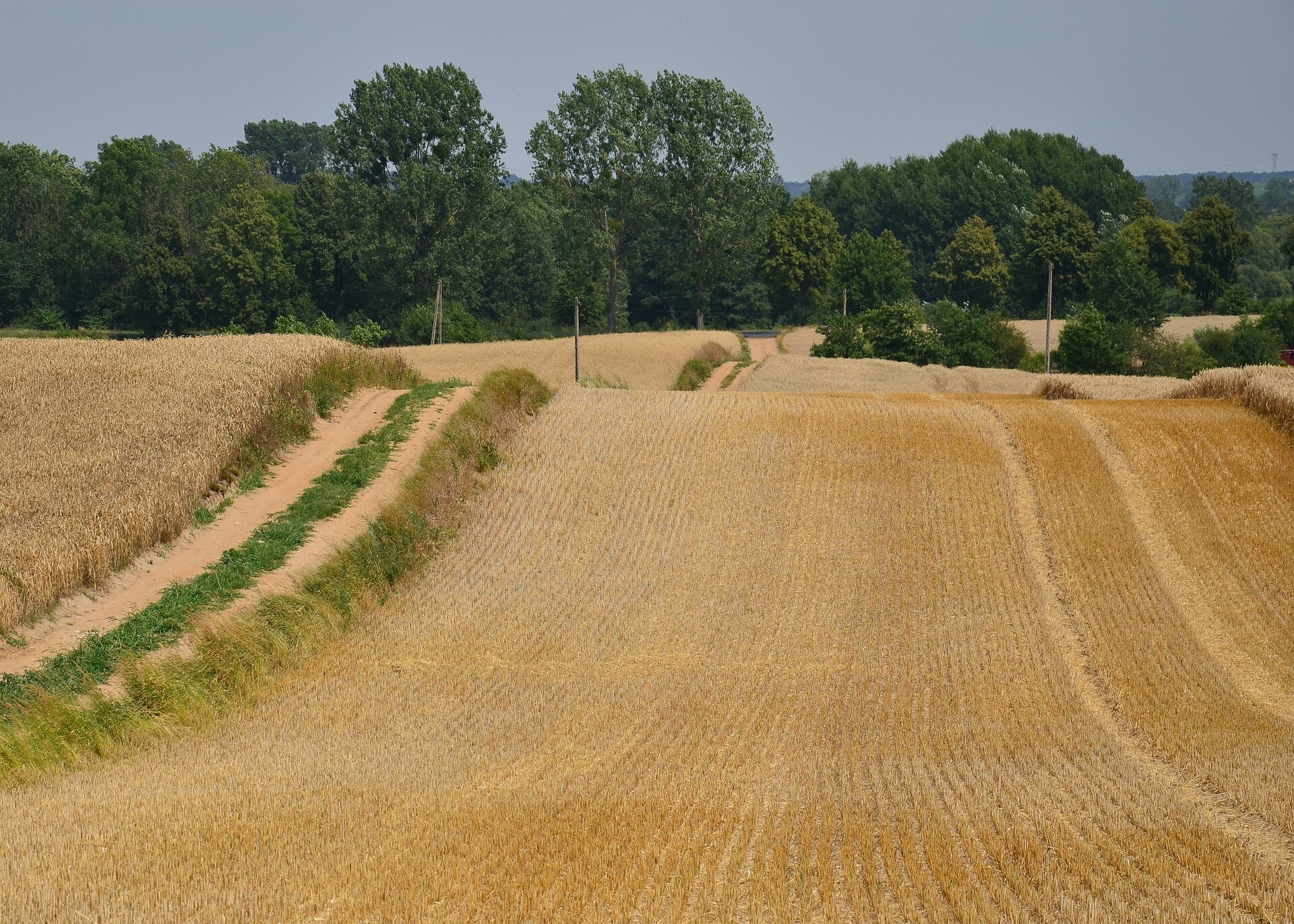 Zdjęcie przedstawia drumliny w Zbójnie. Z jego szczytu opadają pola uprawne rozdzielone ścieżką. W tle znajdują się drzewa liściaste.
