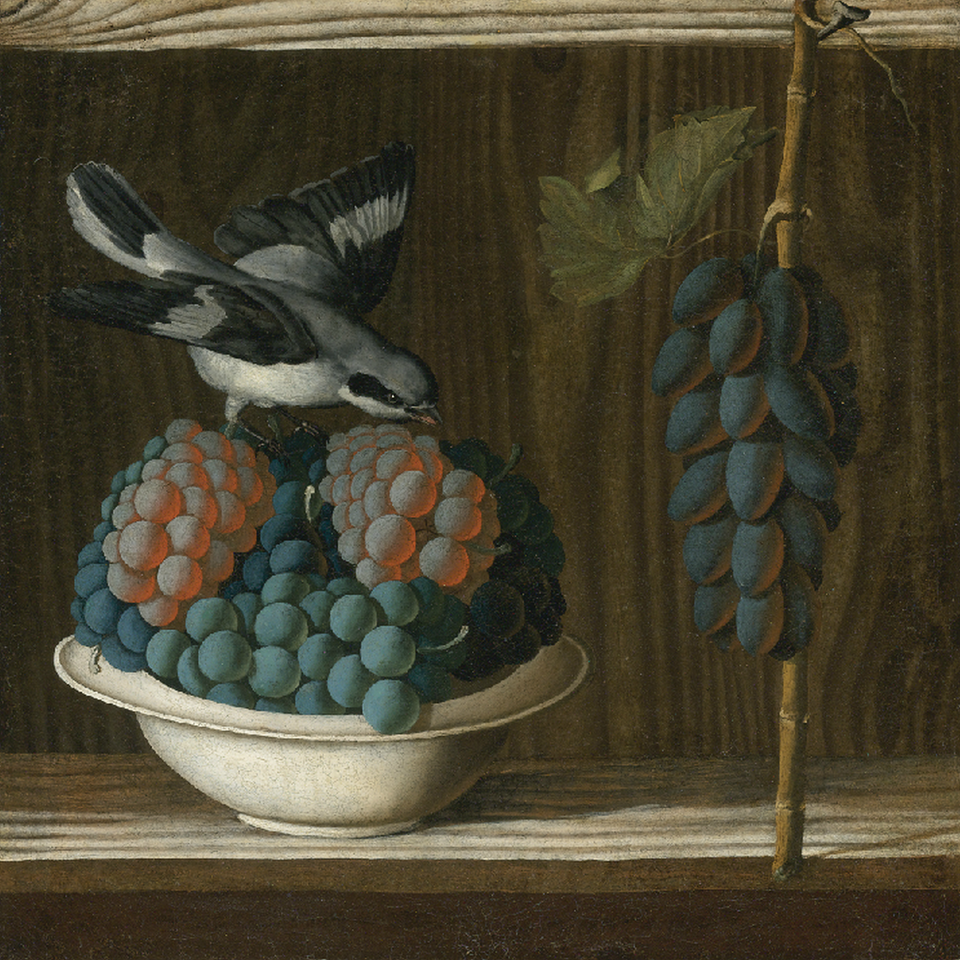 Ilustracja przedstawia „Martwą naturę z winogronami i ptakiem” autorstwa Antonio Leonellego (Antonio da Crevalcore), datowaną na ok. 1500–1510, znajdującą się w Metropolitan Museum of Art w Nowym Jorku. Ukazuje misę wypełnioną kiściami winogron w dwóch kolorach: jasnych, zielonkawoniebieskich oraz pomarańczowoczerwonych. Na krawędzi misy siedzi niewielki ptak zwrócony w stronę owoców. Po prawej stronie widoczna jest zwisająca kiść ciemnych winogron z liściem. Całość ustawiona jest na drewnianej powierzchni, a tło pozostaje jednolite i ciemne, co podkreśla jasne barwy owoców i sylwetkę ptaka.