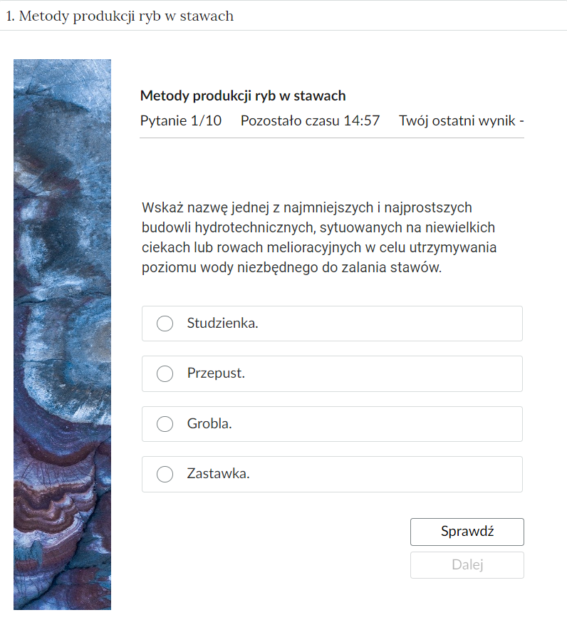 Grafika przedstawia przykładowe zadanie testowe. Ponad poleceniem widać numer pytania, czas, który pozostał na wypełnianie testu, oraz ostatni uzyskany wynik. Pod poleceniem znajdują się możliwe odpowiedzi. W prawym dolnym rogu panelu z zadaniem znajdują się dwa przyciski. Są to Sprawdź oraz Dalej.