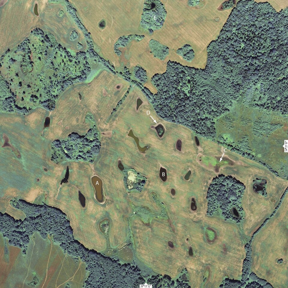 Zdjęcie z lotu ptaka, z dużej wysokości ukazuje teren dość płaski, pokryty polami, łąkami, lasami i pasami drzew. Widocznym jest kilka jezior, wyglądających z tej wysokości jak małe, nieforemne owale. Kilka z nich ma naniesione oznaczenia A, B.C. D.