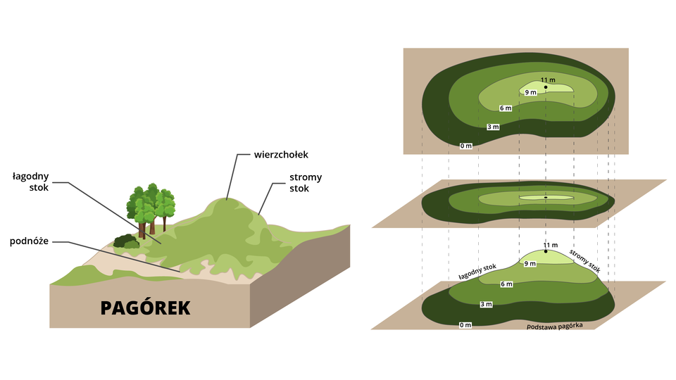 Ilustracja przedstawia zasadę tworzenia rysunku rzeźby terenu za pomocą izohips. Ukazano przestrzenny pagórek i jego elementy: podnóże, łagodny stok, stromy stok oraz wierzchołek. Obok ukazano jego rzut płaski z góry, zrzutowano poszczególne elementy pionowo i zachowując odpowiednie wysokości, narysowano go izohipsami.