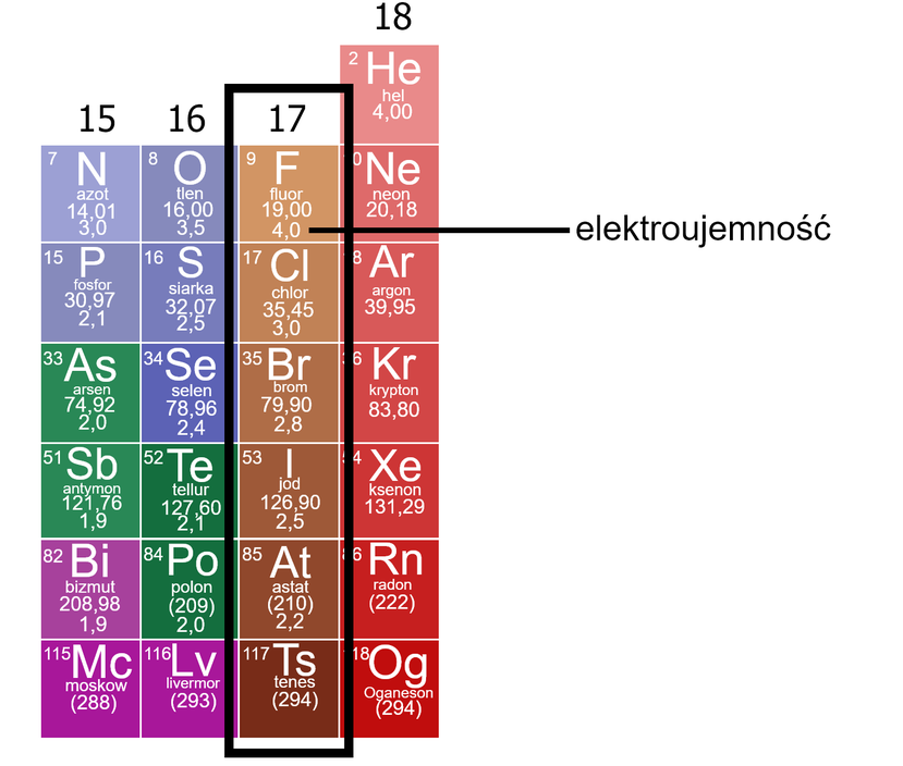 Na ilustracji fragment układu okresowego pierwiastków z pierwiastkami grupy od piętnastej do osiemnastej. Wyróżniono pierwiastki z grupy siedemnastej. We fluorze - który znajduje się na pierwszym miejscu w tej grupie - strzałka wskazuje na wartość 4,0, opis: elektroujemność. Pod fluorem są następujące pierwiastki oraz ich wartość elektroujemności: chlor 3,0, brom 2,8, jod 2,5, astat 2,2, tenes.  