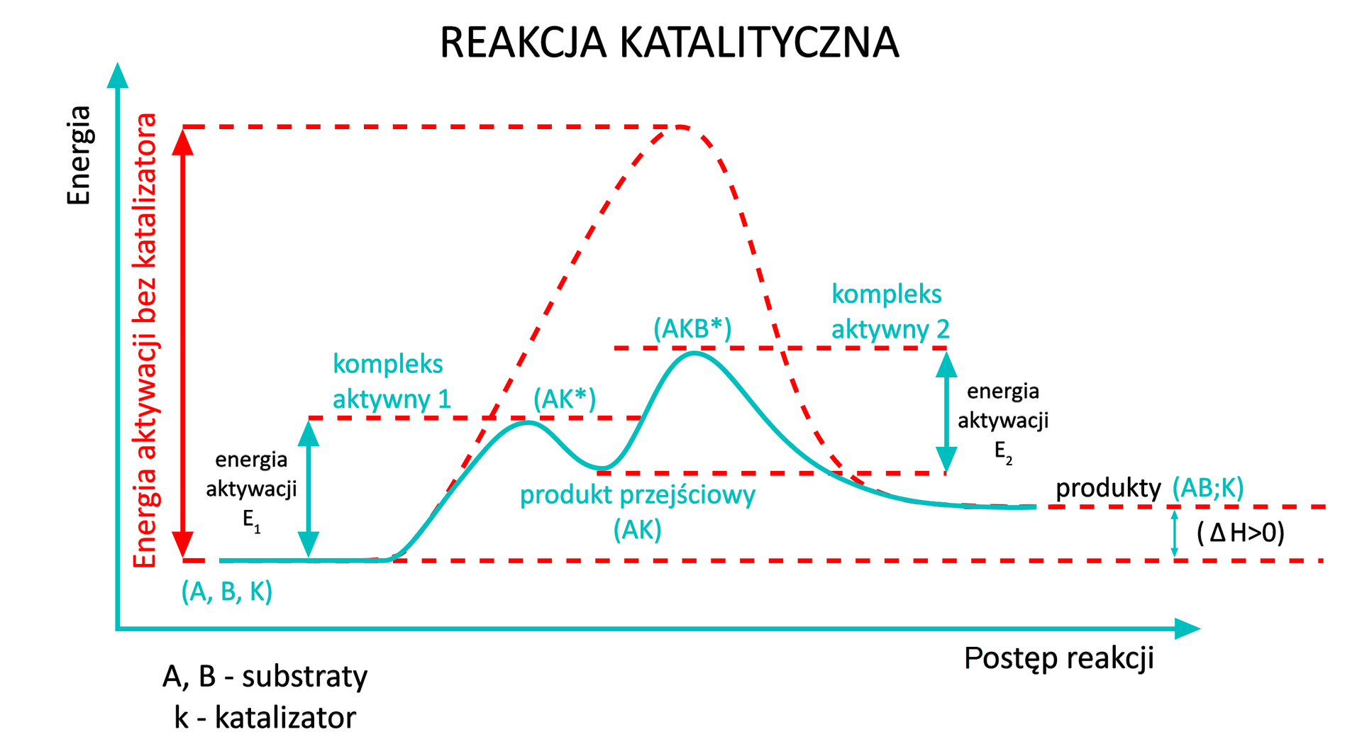 Wykres zależności zmian energii wewnętrznej od czasu reakcji z udziałem katalizatora, przebiegający przez dwa kompleksy aktywne, oraz z utworzeniem jednego produktu przejściowego. Energia substratów A oraz B zaznaczona jako poziomy odcinek stanowiący początek wykresu. Dodatek katalizatora spowodował liniowy wzrost funkcji oraz utworzenie kompleksu AK* w pierwszym maksimum, następnie spadek energii do minimum o wartości wyższej niż energia początkowa. Wspomniane minimum odpowiada energii utworzonego produktu przejściowego AK. Na tym etapie następuje ponowny wzrost energii do drugiego maksimum, większego niż pierwsze na skutek utworzenia kompleksu aktywnego dwa AKB*. Dalej funkcja maleje osiągając energię produktu AB, która jest mniejsza od energii produktu przejściowego i większa od energii substratów, ponieważ reakcja ta jest reakcją endoenergetyczną. Ponadto na wykresie zaznaczono przerywaną linią wykres dla reakcji zachodzącej bez udziału katalizatora, w której brak jest produktu przejściowego utworzony zostaje jeden kompleks aktywny AB* w maksimum, które odpowiada dużo większej wartości energii niż odpowiednie maksima dla reakcji z udziałem katalizatora. Na wykresie zaznaczono energię aktywacji E1, jako różnicę pomiędzy energią kompleksu aktywnego 1 i energią substratów oraz energię aktywacji E2 jako różnicę energii kompleksu aktywnego 2 i energii produktu przejściowego. Zaznaczono również ∆H > 0 jako różnicę energii produktów i energii substratów.
