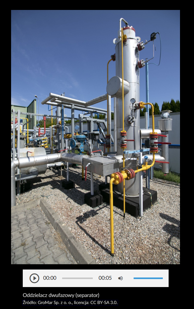 Przykładowa grafika galerii zdjęć - z rozwiniętym opisem