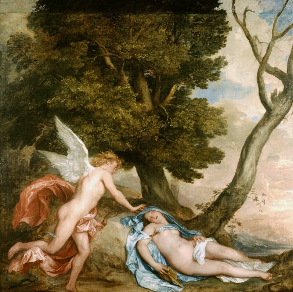 Obraz Antoona van Dycka przedstawia mitologiczną scenę przebudzenia Psyche za sprawą Kupidyna. Autor umieścił postacie w romantycznym pejzażu, Psyche leży nieruchomo na trawie, w cieniu wielkich drzew, a uskrzydlony Kupidyn w dynamicznym pędzie zbliża się do niej. Obie postacie są przedstawione jako akty, delikatnie tylko spowite miekką draperią.