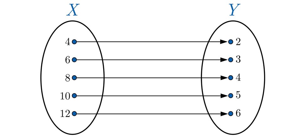 Ilustracja przedstawia graf składający się z dwóch pionowo ustawionych obok siebie elips, które reprezentują  zbiory: po lewej zbiór X, po prawej zbiór Y. Oba zbiory sa niepuste, a ich elementy to liczby. Zbiór X zawiera następujące elementy: cztery, średnik, sześć, średnik, osiem, średnik, dziesięć, średnik, dwanaście. Zbiór Y zawiera następujące elementy: dwa, średnik, trzy, średnik, cztery, średnik, pięć, średnik, sześć. Każdy element ze zbioru X ma przyporządkowany dokładnie jeden element ze zbioru Y i odwrotnie: każdy element ze zbioru Y ma przyporządkowany dokładnie jeden element ze zbioru X.  Przyporządkowanie reprezentują strzałki biegnące od elementów ze zbioru X do elementów ze zbioru Y. Efektem przyporządkowania są następujące pary liczb: nawias, cztery, średnik, dwa, zamknięcie nawiasu, przecinek, nawias, sześć, średnik, trzy, zamknięcie nawiasu, przecinek, nawias, osiem, średnik, cztery, zamknięcie nawiasu, przecinek, nawias, dziesięć, średnik, pięć, zamknięcie nawiasu, przecinek, nawias, dwanaście, średnik, sześć, zamknięcie nawiasu.