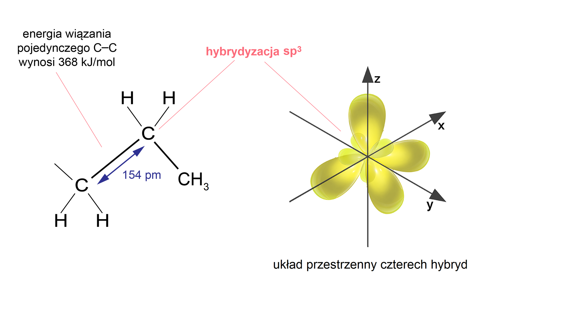 Schemat budowy alkanów, z uwzględnieniem występującej w nich hybrydyzacji                s       p                 3         . Zaznaczono energię wiązania pojedynczego pomiędzy atomami węgla, która wynosi 368 kilodżuli na mol. Przy wiązaniu pomiędzy atomami węgla zaznaczono 154 pikometry. Przedstawiono także atom węgla w stanie hybrydyzacji                s       p                 3         . Na trójwymiarowym układzie współrzędnych są trzy przecinające się osie x, y, z. Z miejsca przecięcia się osi rozchodzą się ósemki duże i małe.   