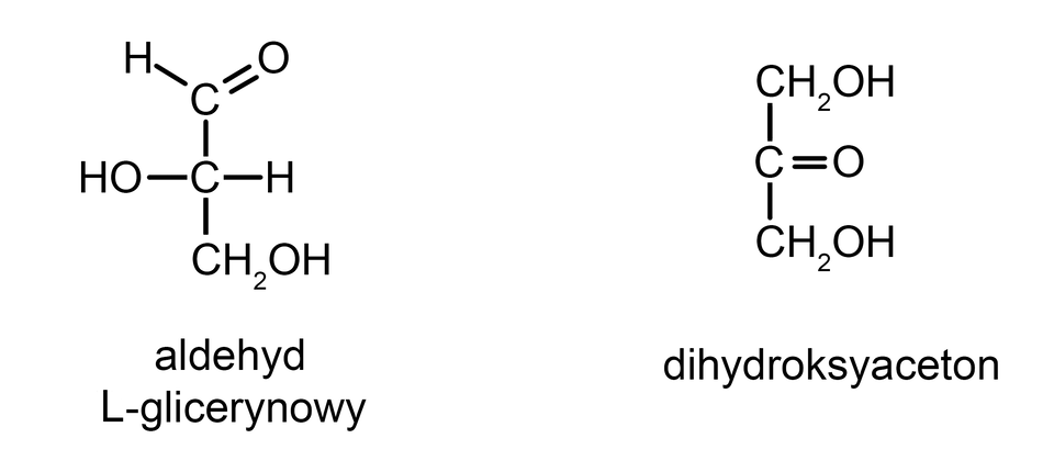 Ilustracja przedstawia wzory strukturalne dwóch aldehydów. Pierwszy to aldehyd L-glicerynowy. Ma strukturę pionową składającą się z trzech grup. Od dołu kolejno grupa C H indeks dolny dwa koniec indeksu dolnego połączona wiązaniem pojedynczym z grupą O H. W górę, kolejna grupa to C połączona wiązaniem pojedynczym z grupą O H oraz H. Dalej kolejna grupa C połączona wiązaniem pojedynczym z H oraz podwójnym z O. Drugi aldehyd to dihydroksyaceton. Ma strukturę pionową. Od dołu kolejno grupa C H indeks dolny dwa koniec indeksu dolnego połączona wiązaniem pojedynczym z grupą O H. Kolejna grupa C połączona wiązaniem podwójnym z O. Następna jest grupa C H indeks dolny dwa koniec indeksu dolnego połączona wiązaniem pojedynczym z grupą O H.