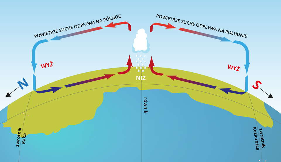 Ilustracja przedstawia cyrkulację powietrza w strefie okołorównikowej. Na rysunku jest fragment kuli ziemskiej. Zaznaczono równik oraz zwrotniki. Pomiędzy równikiem a zwrotnikami po lewej i prawej stronie za pomocą strzałek przedstawiono cyrkulację powietrza. Między równikiem a zwrotnikiem Raka cyrkulacja odbywa się przeciwnie do ruchu wskazówek zegara - opisano: powietrze suche odpływa na północ. Pomiędzy równikiem a zwrotnikiem Koziorożca cyrkulacja odbywa się zgodnie z ruchem wskazówek zegara. Opisano: powietrze suche odpływa na południe. Pomiędzy schematami cyrkulacji nad równikiem jest chmura z deszczem - to niż.   
