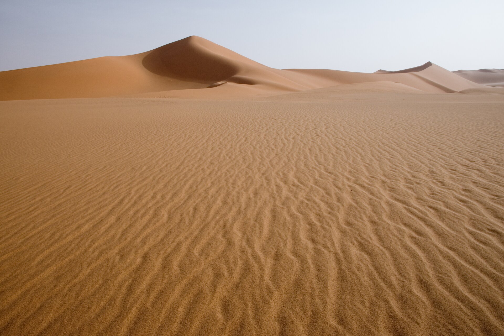 Zdjęcie przedstawia pustynię. Jasny piasek bez żadnej roślinności. Na drugim planie wydmy piaskowe. 