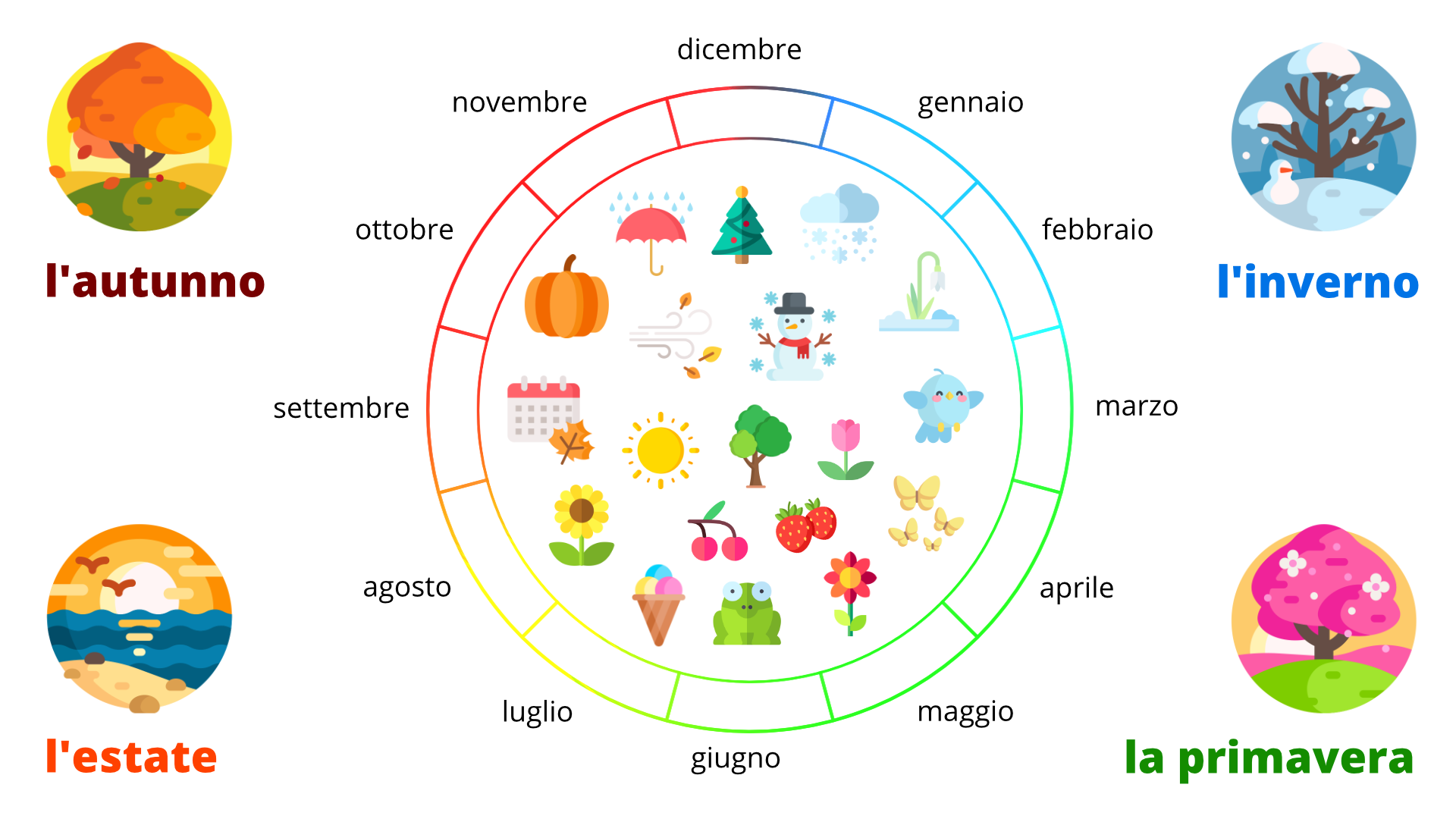 Grafika przedstawia pory roku. Na ilustracji w każdym rogu znajduje się nazwa pory roku oraz mała grafika przedstawiająca daną porę roku:
la primavera (Grafika przedstawia kwitnące drzewo.)l'estate (Grafika przedstawia morze, plażę i zachodzące słońce.)l'autunno (Grafika przedstawia drzewo z żółtymi liściami.)l'inverno (Grafika przedstawia ośnieżone drzewo.)Na środku ilustracji znajduje się okrąg ilustrujący różnymi kolorami pory roku. Wokół okregu po zewnętrznej stronie znajdują się nazwy miesięcy po włosku. Wewnątrz okręgu znajdują sie małe piktogramy przedstawiające rzeczy związane z daną pora roku.Podział na pory roku i miesiące do niej należące:la primavera - marzo, aprile, maggio (Piktogramy przedstawiają: motyle, kwiatki, zielone drzewa.)l'estate - giugno, luglio, agosto (Piktogramy przedstawiają: lody, owoce, kwiaty, słońce.)l'autunno - settembre, ottobre, novembre (Piktogramy przedstawiają: dynię, padający deszcz i parasol, wiejący wiatr.)l'inverno - dicembre, gennaio, febbraio (Piktogramy przedstawiają: choinkę, churkę z padającym śniegiem, bałwana.)
