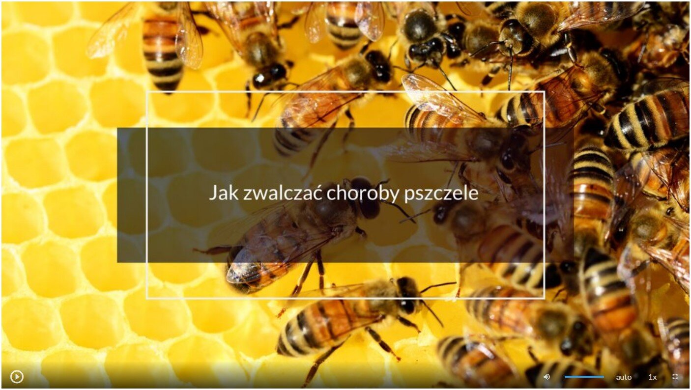 Grafika przedstawia ekran odtwarzania filmu. Zdjęcie przedstawia fragment plastra miodu, po którym chodzą pszczoły. Na nim znajduje się napis: Jak zwalczać choroby pszczele. Na dole znajduje się pasek z ikonami. Po lewej stronie na pasku jest przycisk “play”, który ma kształt koła z pisanym w niego trójkątem. Po prawej stronie na pasku jest ikona głośnika, pasek głośności, przycisk umożliwiający włączenie napisów, napis “auto”, szybkość wynosząca 1x oraz ikona trybu pełnoekranowego, która kształtem przypomina przerywany kwadrat. 