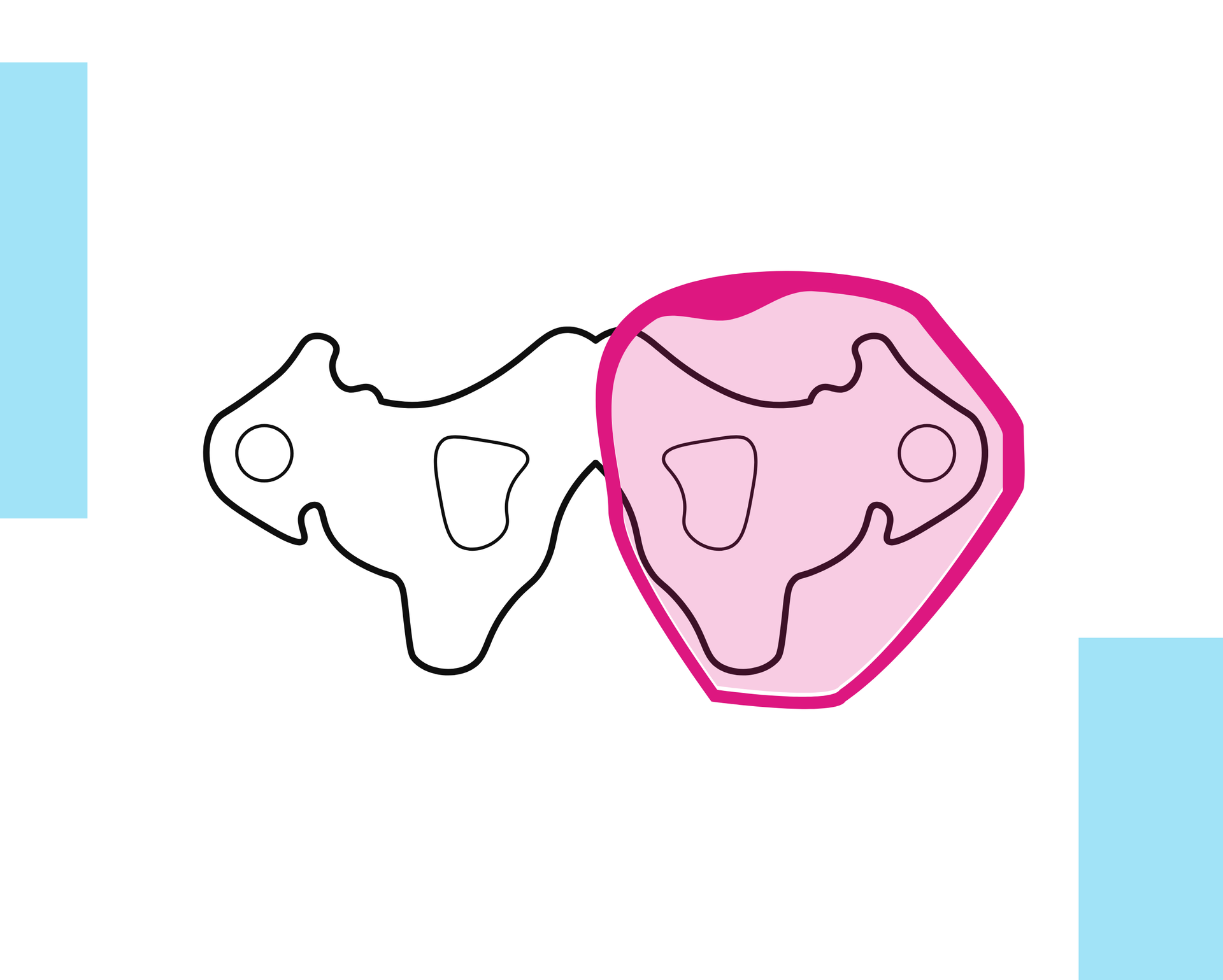 Grafika przedstawia schemat miednicy człowieka. Na rycinie zaznaczono przekrój poprzeczny leja anatomicznego. Lej obejmuje prawą część miednicy, dopasowując się do jej kształtu.