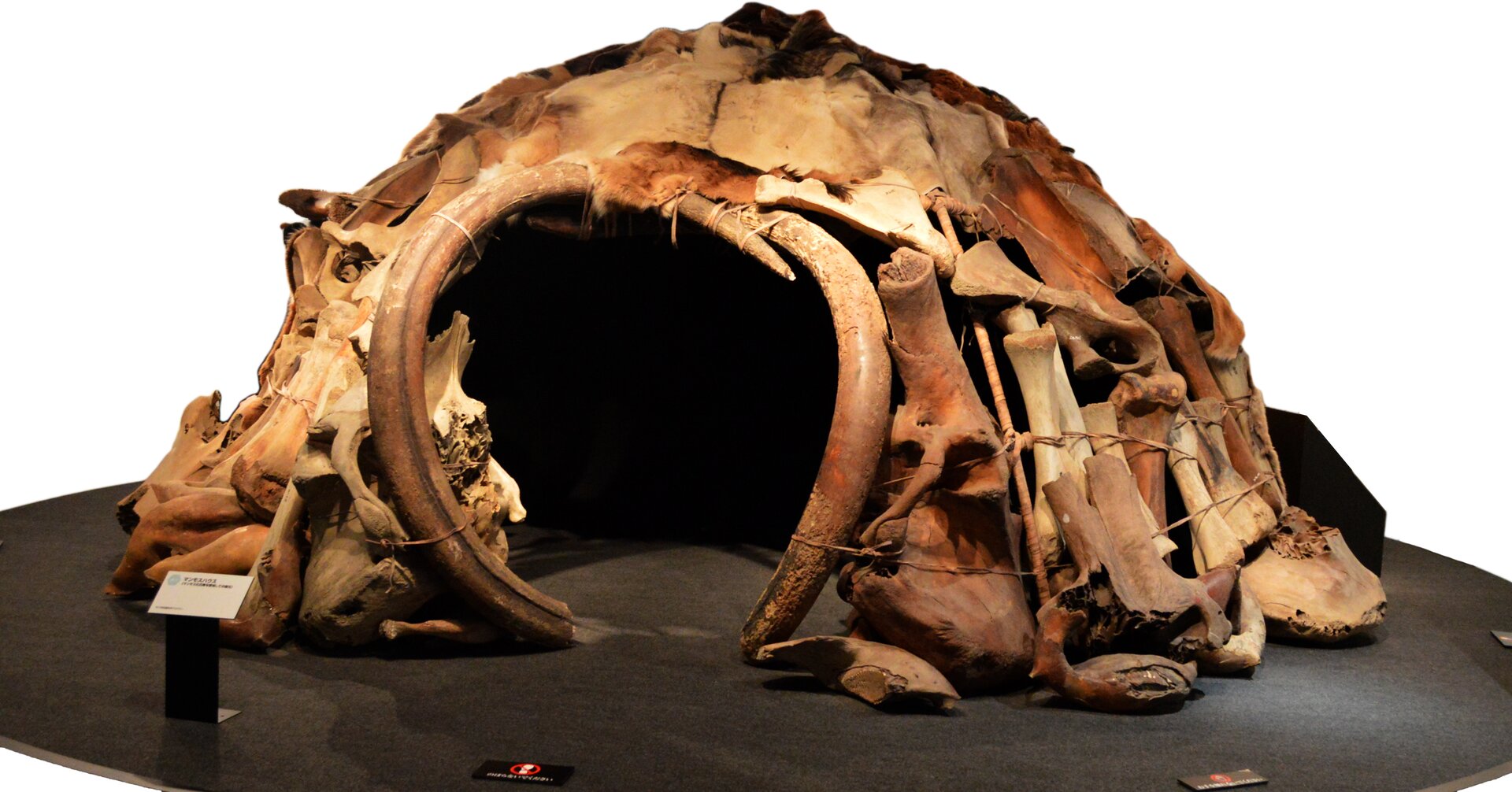 Ilustracja przedstawia szałas wybudowany z kości zwierzęcia, pokryty skórami. Widok współczesny.