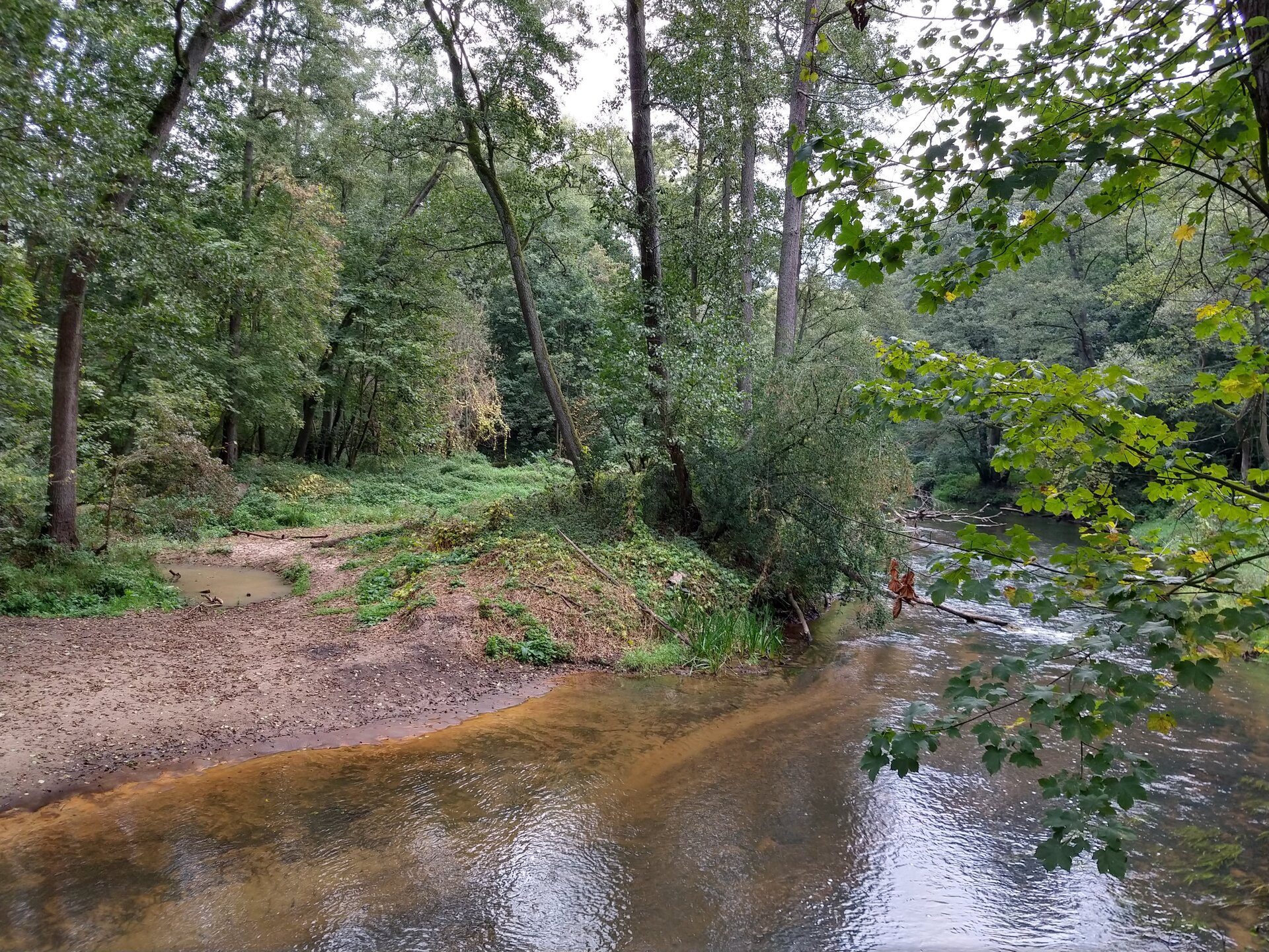 Zdjęcie przedstawia fragment płynącej rzeki. Po prawej stronie rzeka, po lewej stronie brzeg na nim drzewa i zarośla.