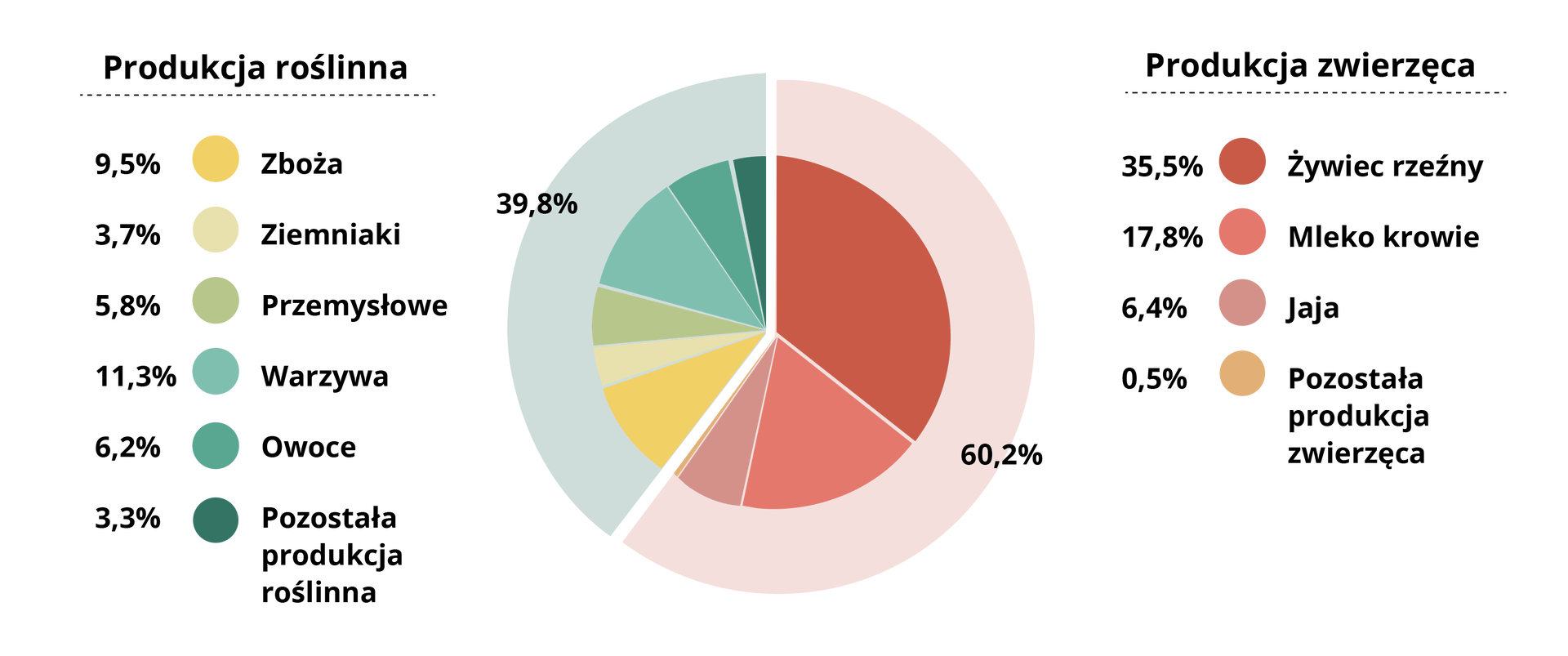 Diagram kołowy pokazuje strukturę towarowej produkcji rolniczej w Polsce w 2019 roku. Z grupy produkcji roślinnej 9,5 procent stanowią zboża, ziemniaki – 3,7 procent, rośliny przemysłowe – 5,8 procent, warzywa – 11,3 procent, owoce – 6,2 procent, a pozostała produkcja roślinna stanowi 3,3 procent. Produkcja roślinna łącznie stanowi 39,8 procent całości towarowej produkcji rolniczej w Polsce. Z produkcji zwierzęcej żywiec rzeźny stanowi 25,5 procent, mleko krowie – 17,8 procent, jaja – 6,4 procent, a pozostała produkcja zwierzęca – 0,5 procent. Produkcja zwierzęca stanowi 60,2 procent całości towarowej produkcji rolniczej w Polsce.