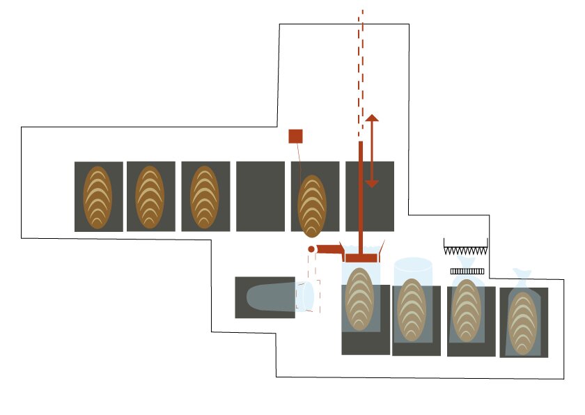 konfekcjonowanie pieczywa