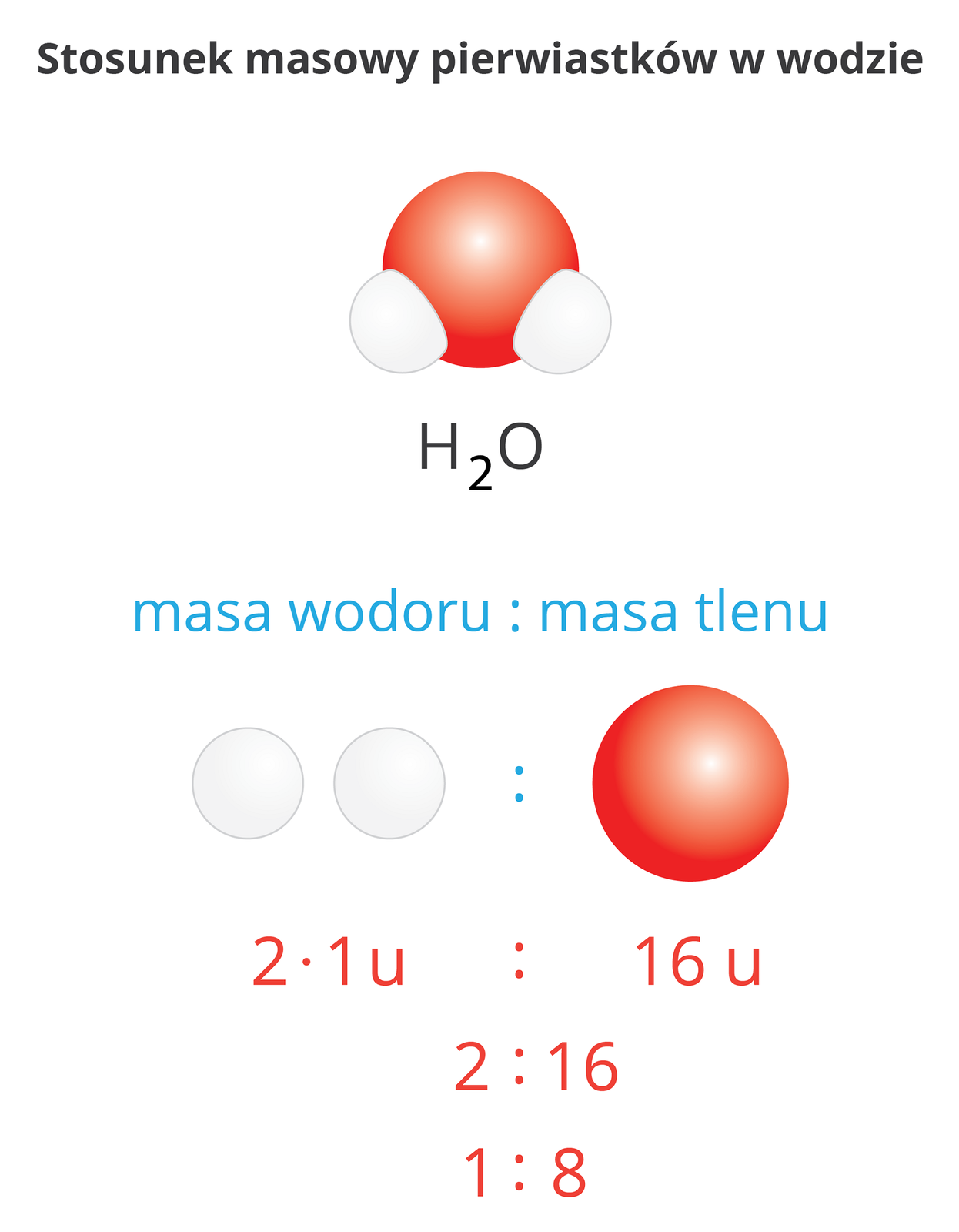 Ilustracja przedstawia obliczanie stosunku masowego pierwiastków dla wody. W górnej jej części znajduje się napis: Stosunek masowy pierwiastków w wodzie. Poniżej zamieszczono rysunek modelu cząsteczki wody zbudowanego z dużej czerwonej kulki i przyłączonych do niej dwóch mniejszych, białych kulek. Pod spodem zapisano jej wzór sumaryczny: H2O. Poniżej znajduje się wyróżniona kolorem niebieskim informacja, że w przypadku tej cząsteczki stosunkiem będzie proporcja masy wodoru do masy tlenu. Niżej umieszczono rysunek dwóch białych kulek (atomów wodoru), z ich prawej strony dwukropek, a dalej duża czerwona kulka. Pod spodem znajdują się obliczenia: dwa razy jeden unit do szesnastu unitów to proporcja dwa do szesnastu, czyli jeden do ośmiu.