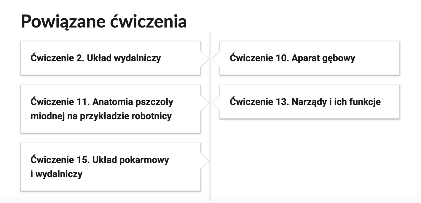 Widok przykładowego przycisku ćwiczeń powiązanych z danym multimedium. Po lewej stronie znajdują się trzy podłużne kafelki z napisem. Ćwiczenie 2. Układ wydalniczy. Ćwiczenie 11. Anatomia pszczoły miodnej na przykładzie robotnicy. Ćwiczenie 15. Układ pokarmowy i wydalniczy. Po prawej stronie znajdują się dwa kafelki z napisem. Ćwiczenie 10. Aparat gębowy. Ćwiczenie 13. Narządy i ich funkcje.