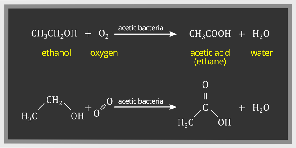Fermentacja octowa: proces ten obejmuje przekształcenie alkoholu etylowego w kwas octowy. Proces można przedstawić w postaci następującego równania: co ha trzy co ha dwa o ha (etanol) dodać o dwa(tlen) strzałka w prawo, nad nią napis bakterie octowe co ha trzy co o o ha (kwas octowy) dodać ha dwa o (woda).