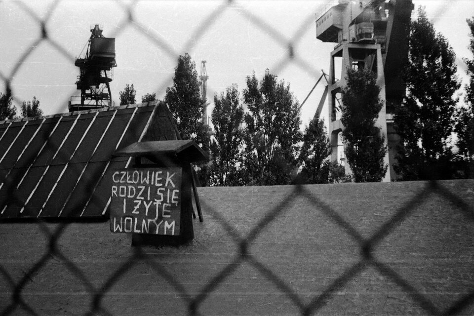 Fotografia przedstawiająca dachy budynków zza ogrodzenia z siatki. W tle znajdują się drzewa i stoczniowe żurawie. Na jednym z dachów, na kartonie napis: Człowiek rodzi się i żyje wolnym.
