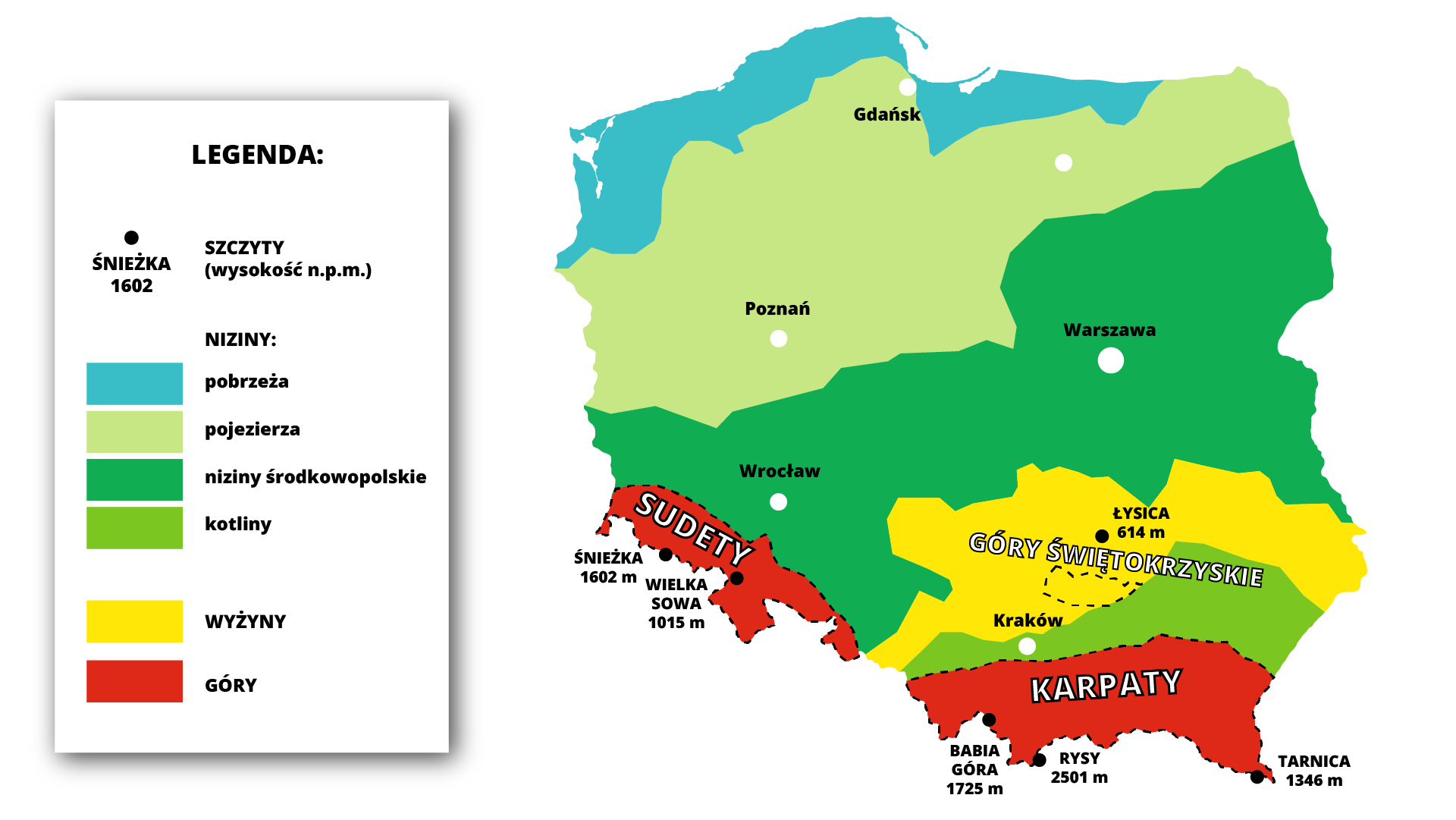Grafika przedstawia mapę Polski. Białymi kropkami zaznaczono i podpisano kilka miast: Gdańsk, Olsztyn, Poznań, Warszawę, Wrocław i Kraków. Po lewej stronie znajduje się legenda. Czarnymi kropkami z podpisem i liczbą symbolizującą wysokość w metrach nad poziomem morza oznaczono szczyty. Na mapie są to: Łysica o wysokości 614 metrów nad poziomem morza, Śnieżka o wysokości 1602 metrów nad poziomem morza, Wielka Sowa o wysokości 1015 metrów nad poziomem morza, Babia Góra o wysokości 1725 metrów nad poziomem morza, Rysy o wysokości 2501 metrów nad poziomem morza oraz Tarnica o wysokości 1346 metrów nad poziomem morza. W północnej części Polski niebieskim kolorem oznaczono pobrzeża, a nieco niżej jasnozielonym kolorem pojezierza. Centralną część Polski zajmują niziny środkowopolskie oznaczone kolorem ciemnozielonym. Południowa część Polski została oznaczona trzema kolorami. Żółtym oznaczono wyżyny, zielonym kotliny, a czerwonym góry. Dużymi białymi literami opisano pasma górskie: Sudety, Góry Świętokrzyskie oraz Karpaty.