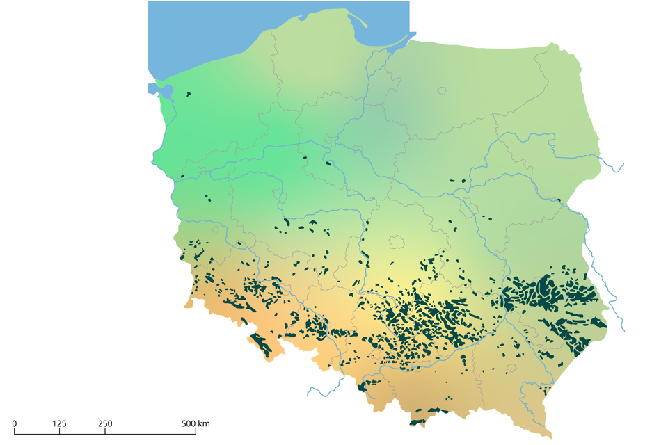 Mapa D. Na mapie Polski w części kraju od połowy na południe są liczne ciemnozielone obszary. Najwięcej jest ich w województwie świętokrzyskim, lubelskim, dolnośląskim. 
