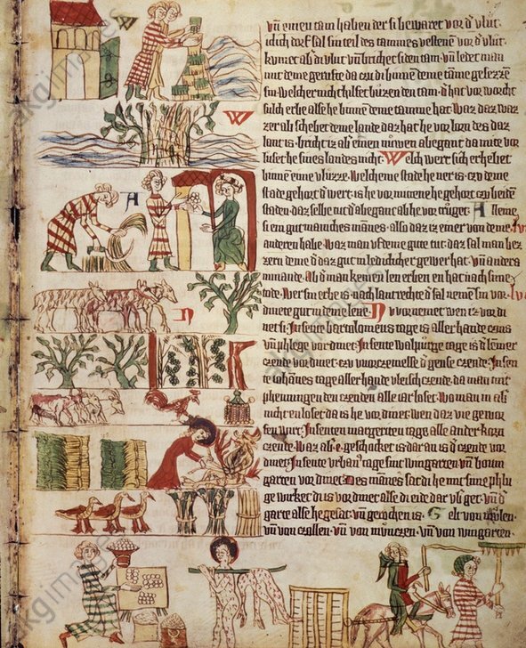 Grafika przedstawia stronę książki w języku łacińskim po prawej stronie  jest tekst, po lewej rycina przedstawiająca różne czynności wykonywane przez chłopów w polu, zwierzęta i rośliny.