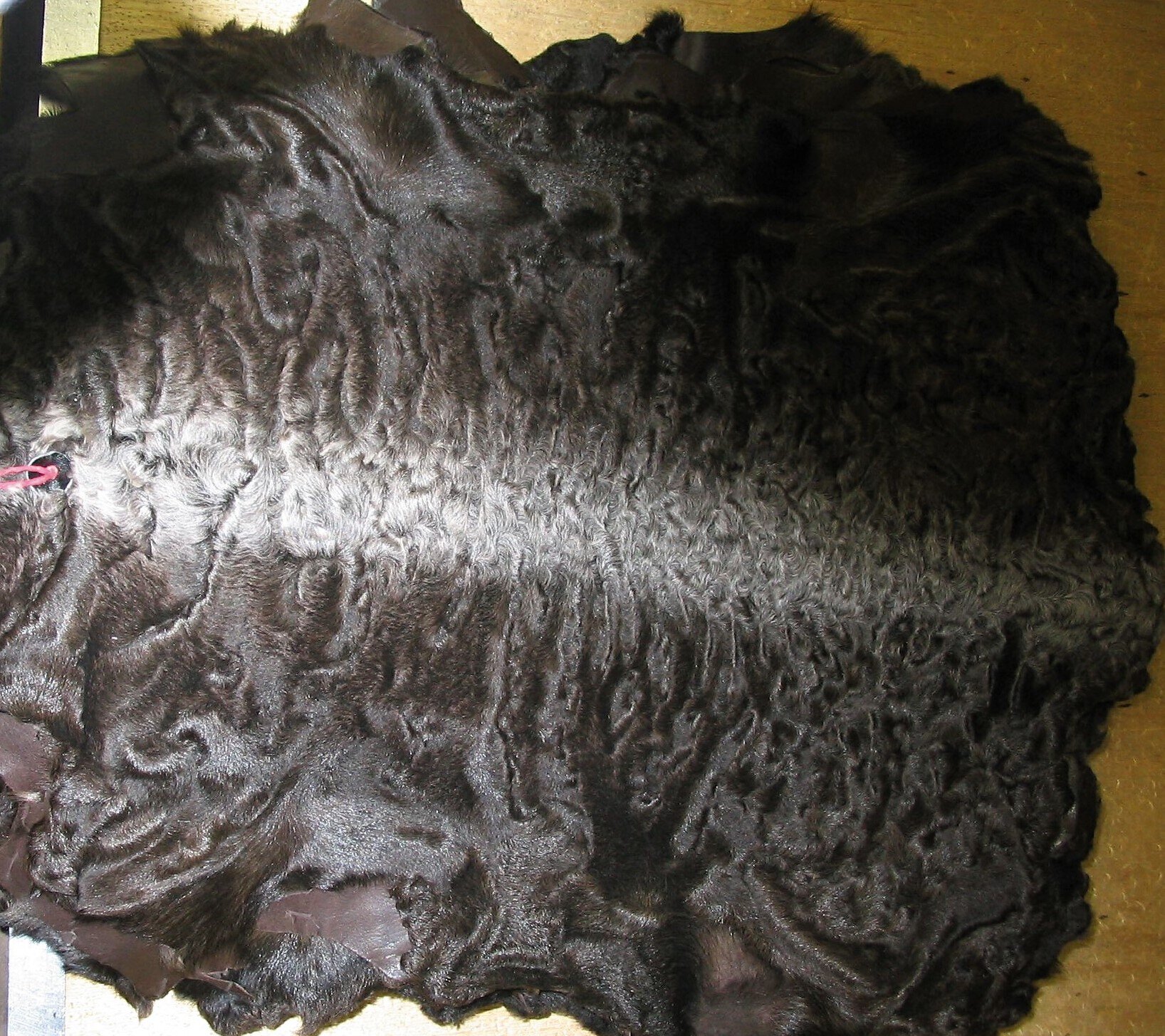 Zdjęcie przedstawia płat skóry karakułowej. Od strony lica skóra jest pokryta jest ciemnobrązowym włosiem.
