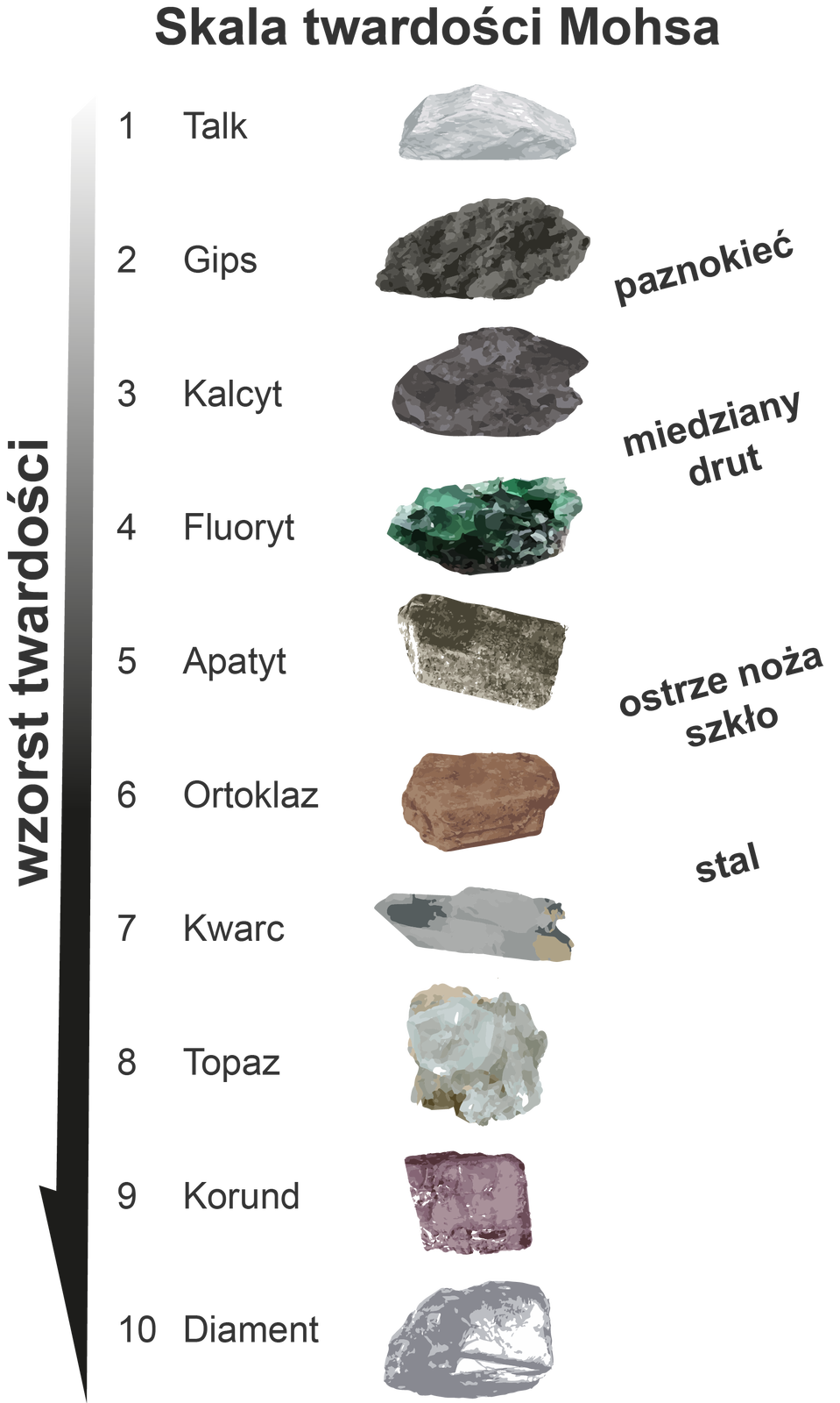 Skala twardości Mohsa. Po lewej stronie strzałka skierowana w dół z napisem: wzrost twardości. Po prawej stronie strzałki nazwy minerałów od jeden do dziesięciu. Naj twardszy jest minerał numer 10, czyli diament. Opis skali od góry 1. Talk - minerał daje się zarysować z łatwością paznokciem, 2. Gips - minerał daje się zarysować paznokciem, 3. Kalcyt - minerał daje się zarysować z łatwością miedzianym drutem, 4. Fluoryt - minerał daje się zarysować z łatwością ostrzem noża, 5. Apatyt - minerał daje się zarysować z trudem ostrzem noża, 6. Ortoklaz - minerał daje się zarysować stalą narzędziową, na przykład pilnikiem, 7. Kwarc - rysuje szkło, 8. Topaz - rysuje szkło z łatwością, 9. Korund - tnie szkło, daje się zarysować diamentem, 10. Diament - rysuje korund, daje się zarysować tylko innym diamentem.