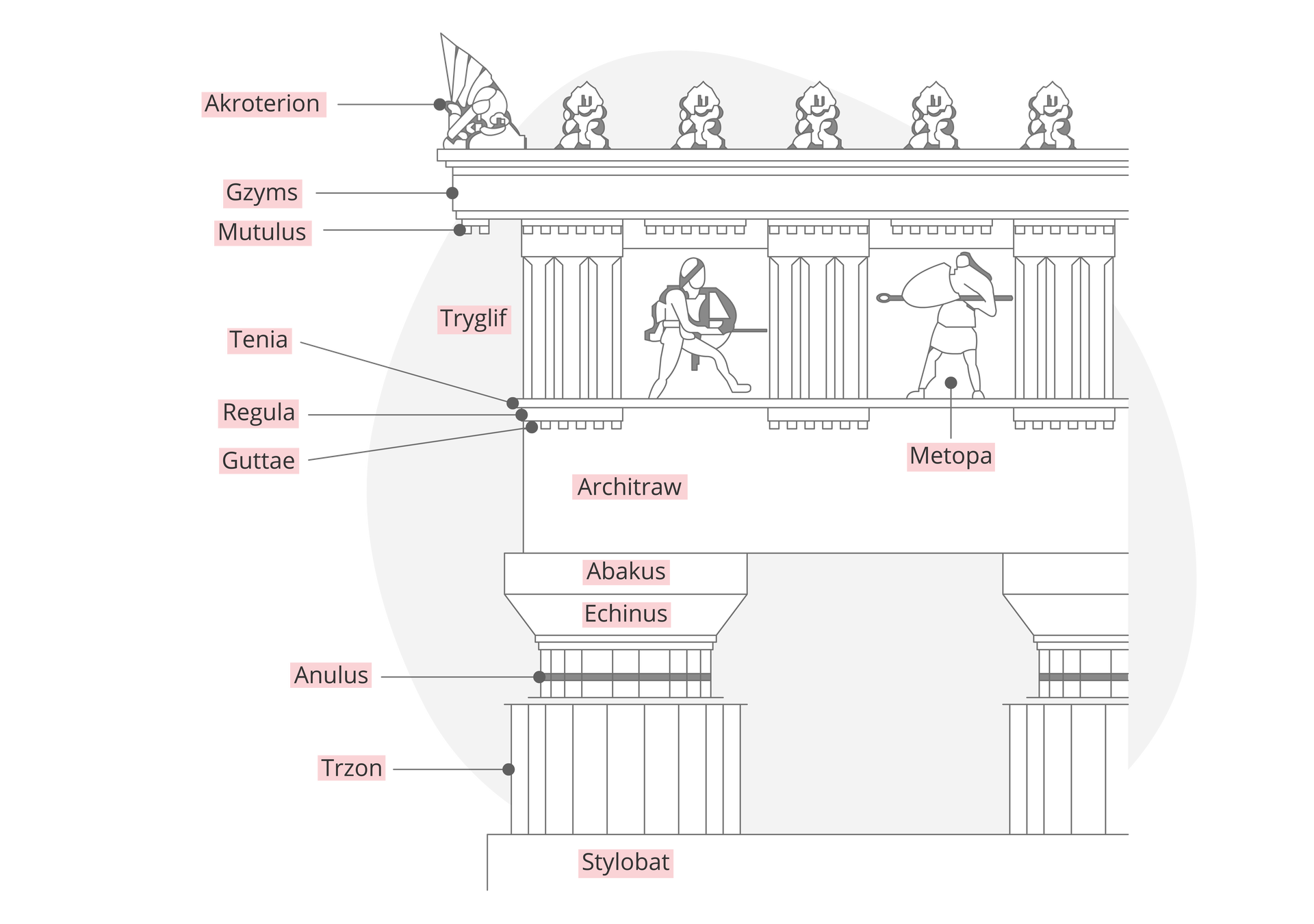 Grafika przedstawia górną część dwóch kolumn greckich. Stanowią one podporę ozdobnego belkowania. Głowice kolumn są proste w konstrukcji; nie posiadają ozdób. Poszczególne elementy kolumn i belkowania są opisane terminami pochodzącymi z języka łacińskiego i greckiego.
