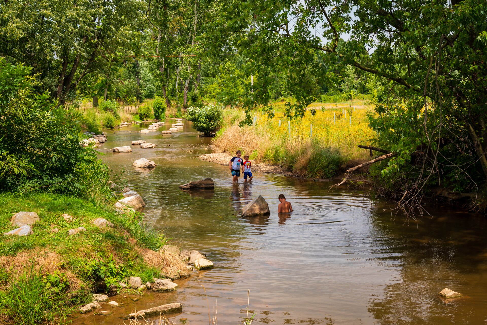 Zdjęcie przedstawia wąską płytką rzekę. Brzegi są porośnięte trawą. Widać też rosnące drzewa. W wodzie widać trzech chłopców.
