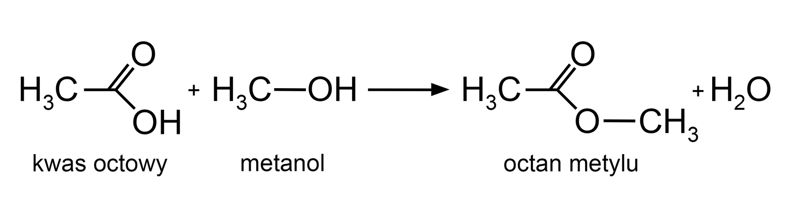 Na ilustracji jest równanie reakcji: jedna cząsteczka kwasu octowego dodać jedna cząsteczka metanolu strzałka w prawo jedna cząsteczka octanu metylu dodać jedna cząsteczka wody.