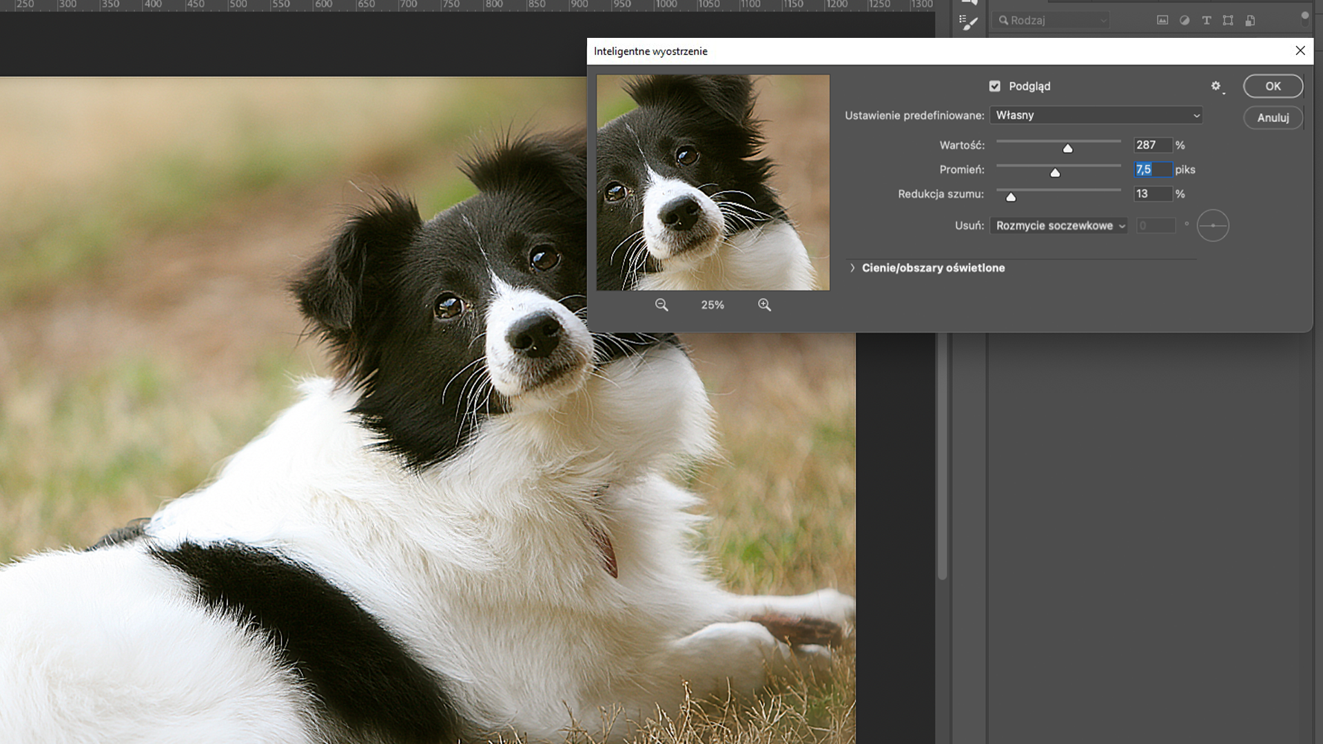 Ilustracja przedstawia okno programu. W obszarze roboczym jest zdjęcie psa. Ma dłuższą czarno‑białą sierść. Po prawej stronie jest okno o nazwie Inteligentne wyostrzenie. W ustawieniach zaznaczono: Podgląd, Ustawienie predefiniowane: Własny, Wartość 287%, Promień 7,5 piksela, Redukcja szumu 13%, Usuń: Rozmycie soczewkowe. Po prawej stronie okna są dwa przyciski: OK oraz Anuluj. W oknie Inteligentne wyostrzenie po lewej stronie jest fragment zdjęcia psa z obszaru roboczego. To zdjęcie głowy psa.  