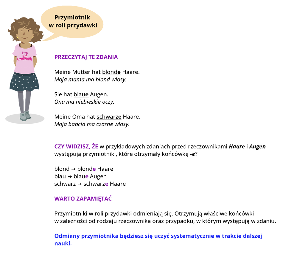 Grafika przedstawia krótkowłosą dziewczynkę w spódniczce i różowej bluzce, na której widoczny jest napis Tipp zur Grammatik. Obok widoczny jest dymek zawierający napis: Przymiotnik w roli przydawki.  Pozostałą część ilustracji stanowi tekst, którego treść wyświetla się w trybie dostępności.