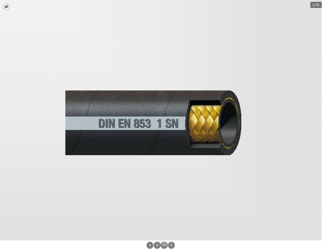 Grafika przedstawia jedno ze zdjęć galerii otwartej w trybie prezentacji. Na dole widoczne są opcje galerii.