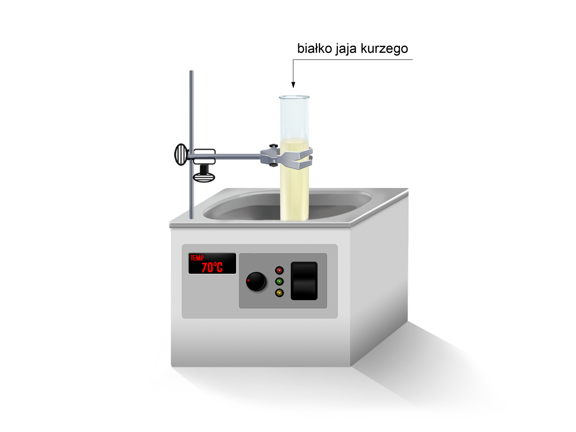 Na ilustracji znajduje się łaźnia wodna, w której zanurzona została probówka wypełniona białkiem jaja kurzego. Temperatura wody wewnątrz wynosi 70 stopni Celsjusza.