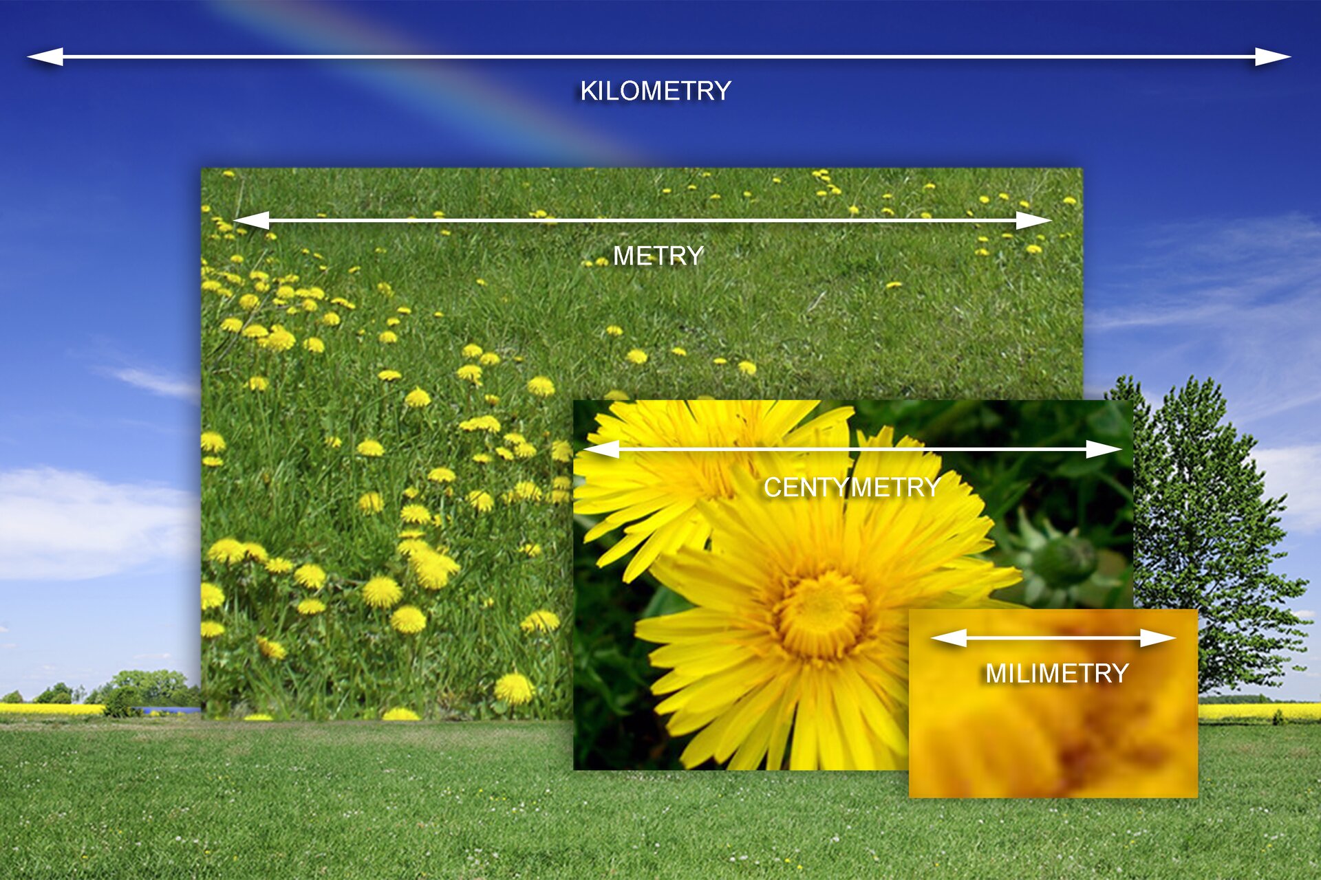 Ilustracja poglądowa przedstawia fragmenty kilku obrazów "wyciętych" i powiększonych z ilustracji pejzażu wcześniej omówionego. Fragment 1 - obejmuje całość ilustracji i odnosi się do wielkości mierzonej w kilometrach. Fragment 2 - przedstawia w powiększeniu część zielonej łąki z widocznymi żółtymi kwiatkami (mleczami) i odnosi się do wielkości mierzonej w metrach. Fragment 3 - "wycina" z powiększenia łąki część kwiatów w przybliżeniu i odnosi się do wielkości mierzonej w centymetrach. Fragment 4 - przedstawia kwiaty w znacznym powiększeniu i odnosi się do wielkości mierzonej w milimetrach.