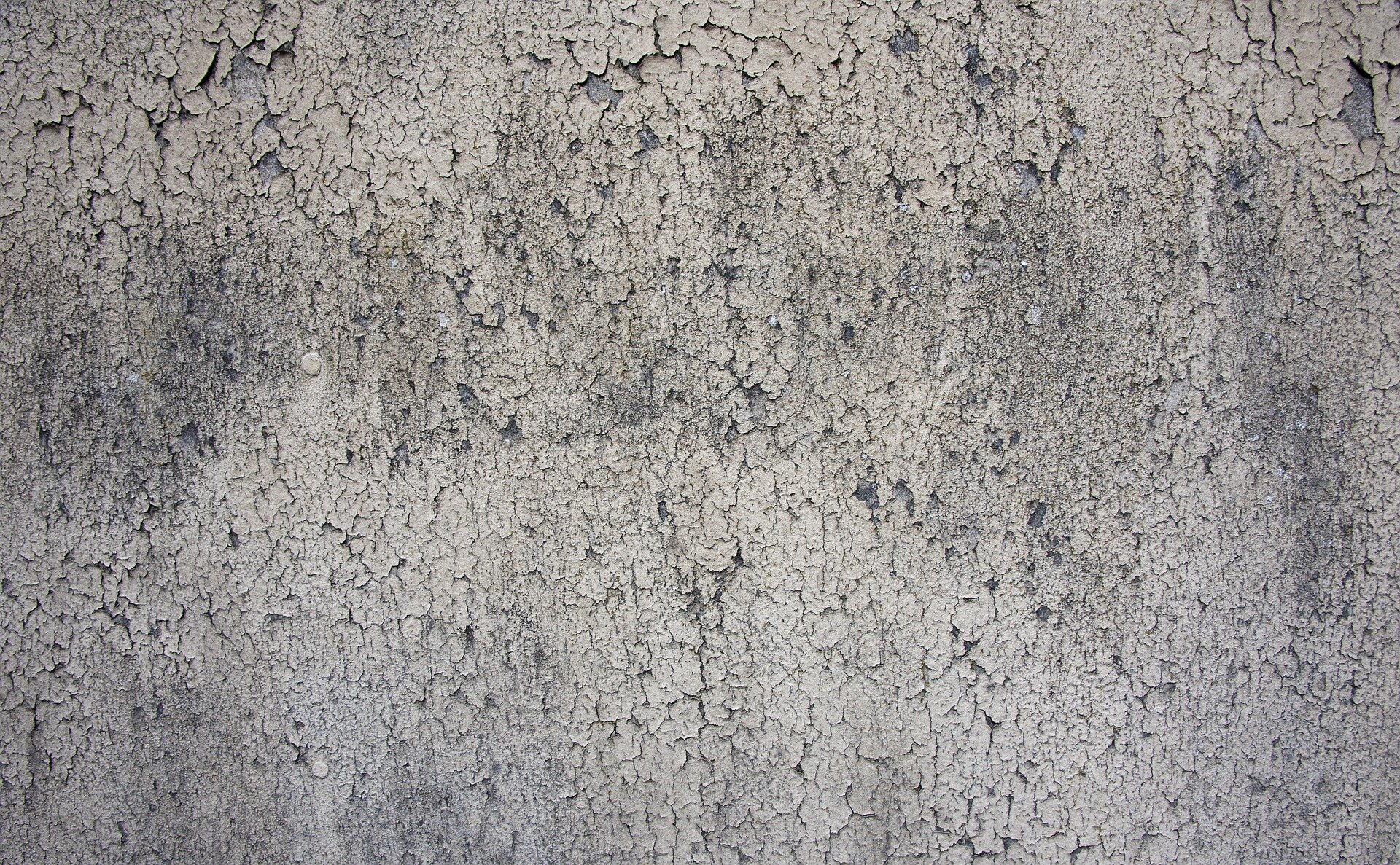 Zdjęcie przedstawia uszkodzenia tynków. Tynk na zdjęciu jest pomarszczony i popękany.