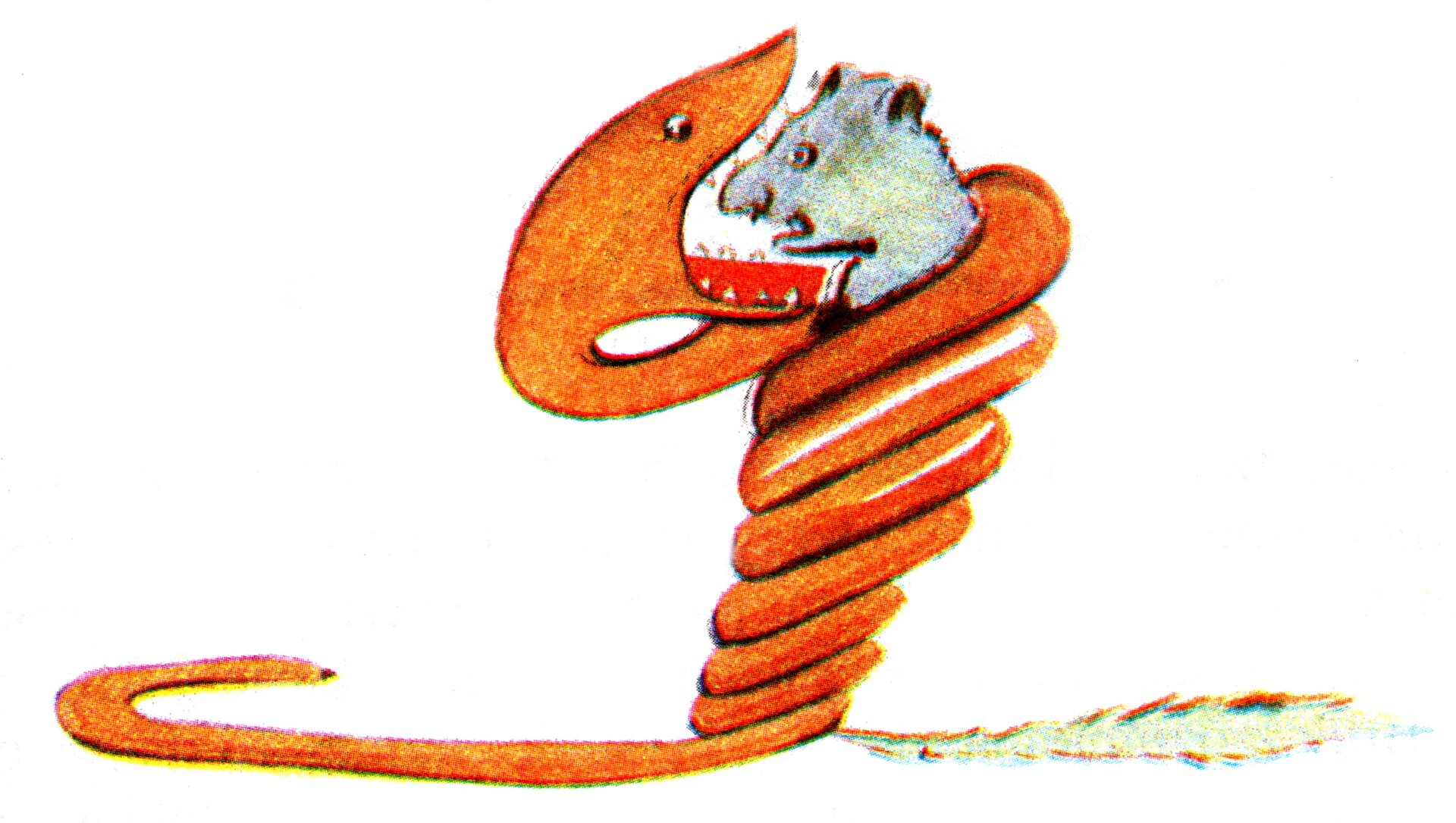 Grafika przedstawia w uproszczony sposób pomarańczowego węża owiniętego szczelnie wokół tułowia zwierzęcia pokrytego szarym futrem. Ciało gada tworzy pionową kolumnę z nawiniętych skosem jak ciasno skręcona sprężyna, splotów. Górny ostatni splot odstaje od kolumny w lewo. Na końcu zawija się w górę, gdzie kończy się dużą ukazaną bokiem głową z rozwartym szeroko pyskiem. Paszcza, nad którą znajduje się niewielkie okrągłe oko, zawiera liczne pokaźne ostre zęby. Jest skierowana w prawą stronę, gdzie z ostatniego splotu wystaje głowa szarego zwierzęcia również ukazana profilem skierowana szpiczastym nosem w lewo w stronę pyska węża. Jej niewielki cofnięty schowany pod nosem pyszczek jest otwarty, ukazując przednie zęby. Nad nim widnieje również okrągłe oko, a na czubku głowy niewielkie zaokrąglone na końcach uszy. Poniżej krótkiej szyi ciało zwierzątka ginie w splotach, by ukazać na dole skierowany poziomo w prawo długi, chudy, pokryty futrem ogon. Po drugiej stronie wężowej spirali ścieli się po ziemi, podpierający ją, zawinięty na końcu jak haczyk ogon węża.