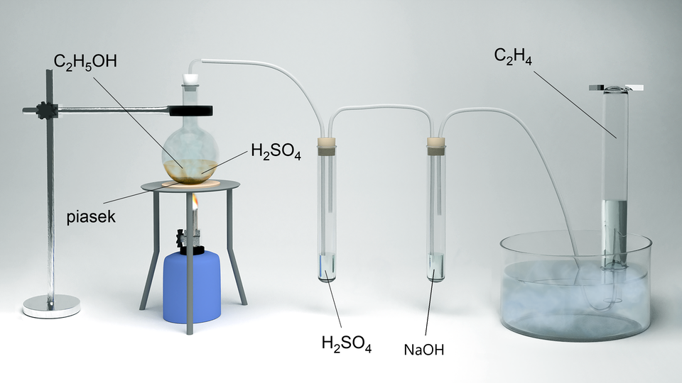 Grafika przedstawia zestaw do otrzymywania etenu w reakcji dehydratacji alkoholu etylowego z udziałem kwasu siarkowego(sześć). Aparatura składa się ze statywów, łap, trójnogu, kolby okrągłodennej, dwóch probówek, palnika, krystalizatora, cylindra miarowego oraz korka z rurką odprowadzającą. W kolbie okrągłodennej umieszczonej w łapie zamontowanej w statywie i stojącej na trójnogu nad palnikiem gazowym, znajduje się etanol, piasek oraz kwas siarkowy(sześć) H indeks dolny, dwa, koniec indeksu dolnego, S O indeks dolny, cztery, koniec indeksu dolnego. Kolba zatkana jest korkiem z rurką odprowadzającą, skierowaną do wnętrza probówki, w której na dnie znajduje się kwas siarkowy(sześć). Probówka ta również wyposażona jest w korek z kolejną rurką odprowadzającą poprowadzoną do wnętrza drugiej probówki, w której umieszczono wodorotlenek sodu N a O H. Od tej probówki również zatkanej korkiem zostałą wyprowadzona rurka skierowana do wnętrza odwróconego do góry dnem cylindra miarowego, który został umieszczony w krystalizatorze wypełnionym cieczą. W cylindrze gromadzi się bezbarwny gaz - eten o wzorze sumarycznym C indeks dolny, dwa, koniec indeksu dolnego, H indeks dolny, cztery, koniec indeksu dolnego.