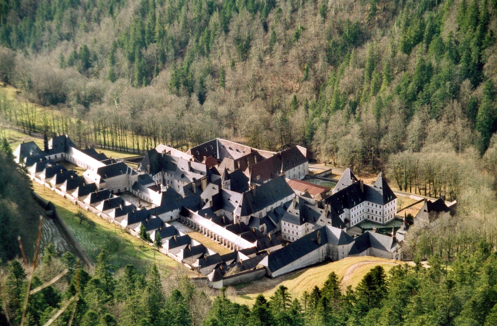 Zdjęcie przedstawia widok współczesny na układ zabudowań klasztornych Wielkiej Kartuzji założonej w Alpach francuskich. W centrum zlokalizowany jest kościół. Otaczają go zabudowania klasztorne połączone krużgankami. Od lewej strony przylegają do nich pojedyncze eremy połączone ze sobą krużgankami w ciąg szeregówek. Dookoła zabudowań widoczny gęsty las złożony z drzew liściastych i iglastych, bliżej górnej krawędzi fotografii widoczne zbocze góry łagodnie piętrzące się wzwyż.