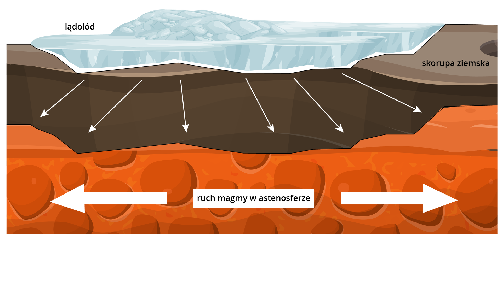 Grafika przedstawia ruchy glaciizostatyczne. Ruch magmy w astenosferze odbywa się poziomo od siebie. Lądolód znajdujący się na powierzchni skorupy ziemskiej naciska na nią. Skorupa się obniża.