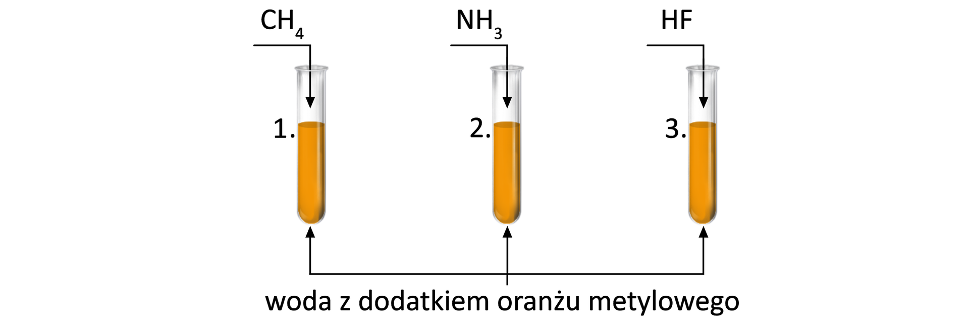Schemat przedstawia trzy probówki. Ich zawartość jest jaskrawożółta. To woda z dodatkiem oranżu metylowego. Do probówki numer 1 dodano CH4, do probówki numer 2, NH3, do probówki numer 3 dodano HF. 
