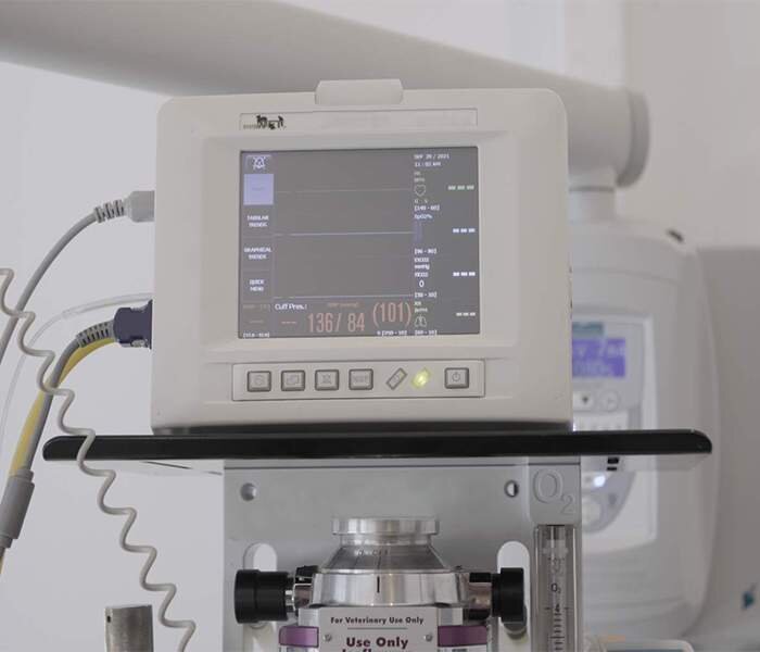 Zdjęcie szóste przedstawia monitor multiparametrowy do monitorowania funkcji życiowych. Do monitora podłączone są przewody. Na ekranie widoczne są parametry funkcji życiowych.