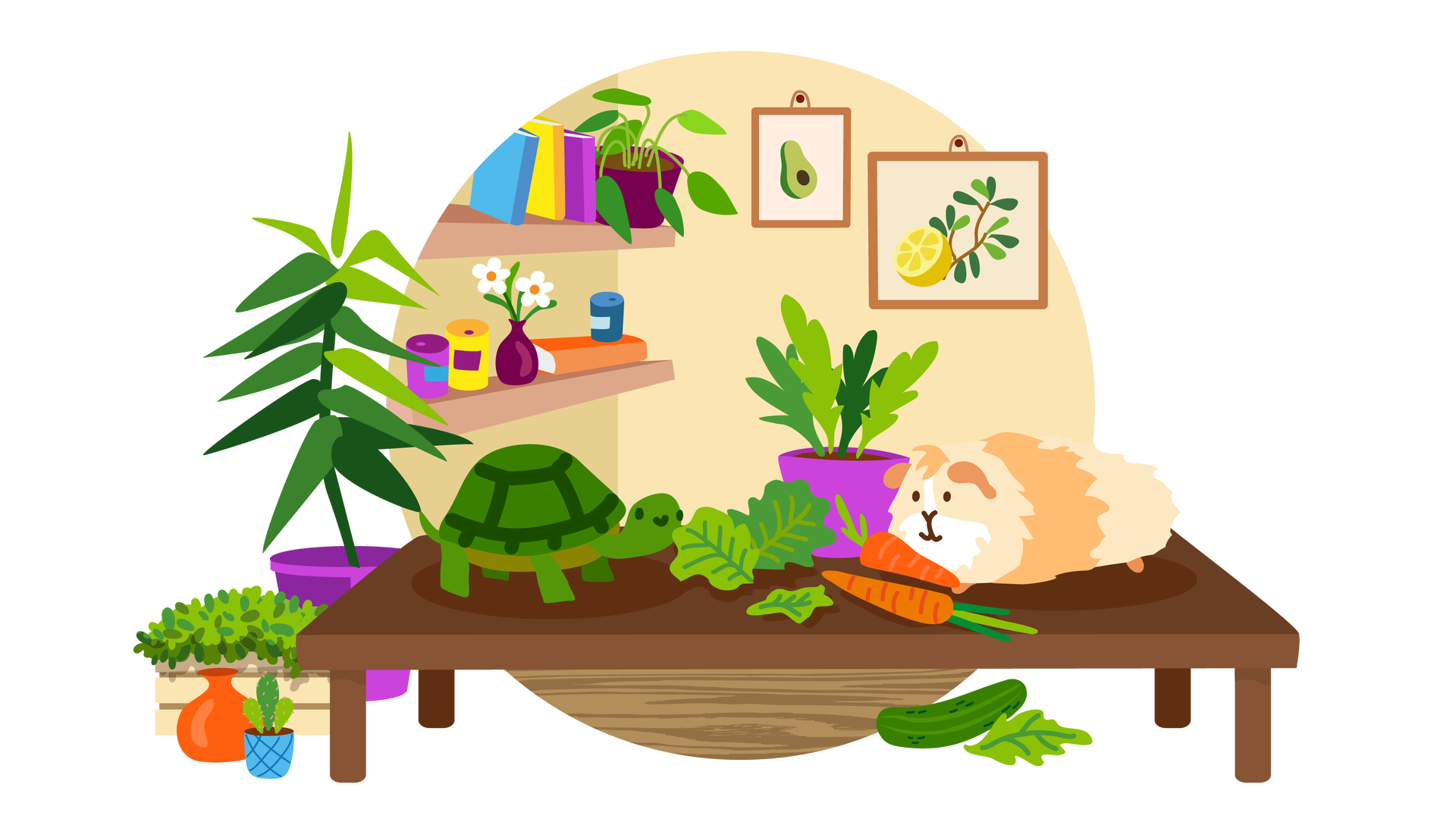 Ilustracja przedstawia klasę szkolną. W tle znajduje się ściana, na której wiszą dwa obrazki w brązowych ramkach. Jeden z nich przedstawia połowę awokado z widoczną pestką, a drugi połowę cytryny oraz fragment zielonej rośliny. Na lewej ścianie wiszą dwie długie półki. Na górnej stoją trzy książki w kolorowych okładkach, niebieskiej, żółtej i fioletowej, oraz zielona roślina w ciemnofioletowej donicy. Na dolnej znajdują się dwa kolorowe pojemniczki z pokrywkami i biały kwiat w ciemnofioletowym wazoniku. Obok nich leży książka w pomarańczowej okładce, a na niej stoi jeszcze jeden pojemniczek z pokrywką. Po lewej stronie ilustracji stoją na podłodze pękaty pomarańczowy wazonik i trzy rośliny. Jedna jest niewielka i ma niebieską doniczkę, druga jest średniej wielkości i znajduje się w jasnobrązowej skrzynce, a trzecia roślina jest bardzo duża i ma fioletową donicę. Na środku ilustracji znajduje się duży brązowy stół, na którym są żółw i świnka morska jedzące warzywa. Żółw je sałatę, a świnka morska marchewkę. Za nimi stoi na stole zielona roślina w fioletowej donicy. Pod stołem leżą na podłodze zielony ogórek i kawałek sałaty.