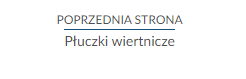 Przykładowy widok przycisku przenoszącego do poprzedniej strony