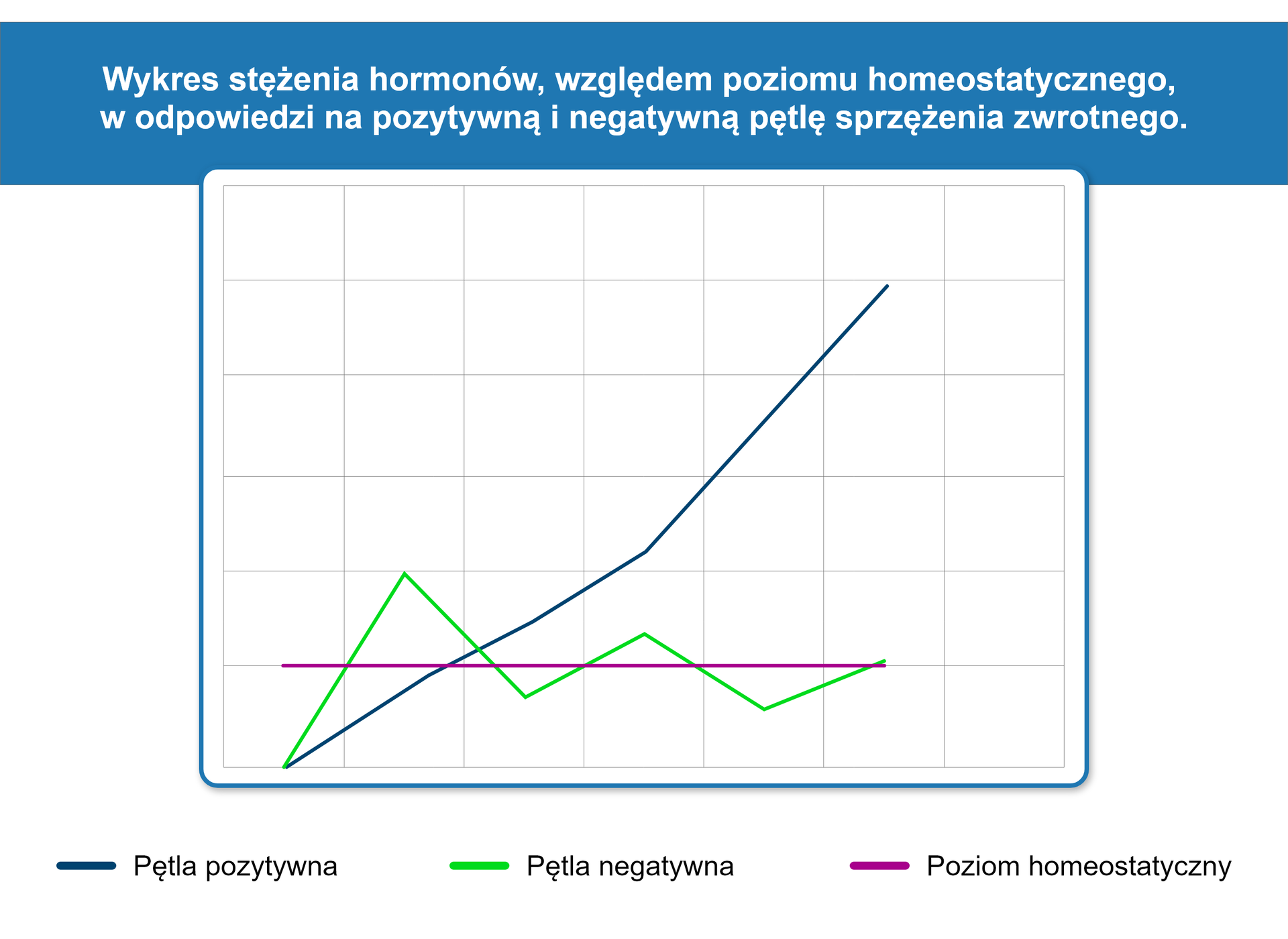 Ilustracja przedstawia wykres stężenia hormonów względem poziomu homeostatycznego w odpowiedzi na pozytywną i negatywną pętlę sprzężenia zwrotnego. Pętla pozytywna na wykresie zobrazowana jest za pomocą niebieskiej linii pnącej się ostro w górę od punktu 0 na pionowej osi y. Poziom homeostatyczny obrazuje na wykresie fioletowa, prosta linia, która biegnie poziomo powyżej punktu 0 na osi y, wzdłuż osi x. Pętlę negatywną obrazuje nieregularna, zielona linia, która wychodzi z tego samego punktu, co linia niebieska, pnie się w górę, następnie opada, znów idzie w górę, opada i pnie się w górę, a następnie spotyka się z linią fioletową. 